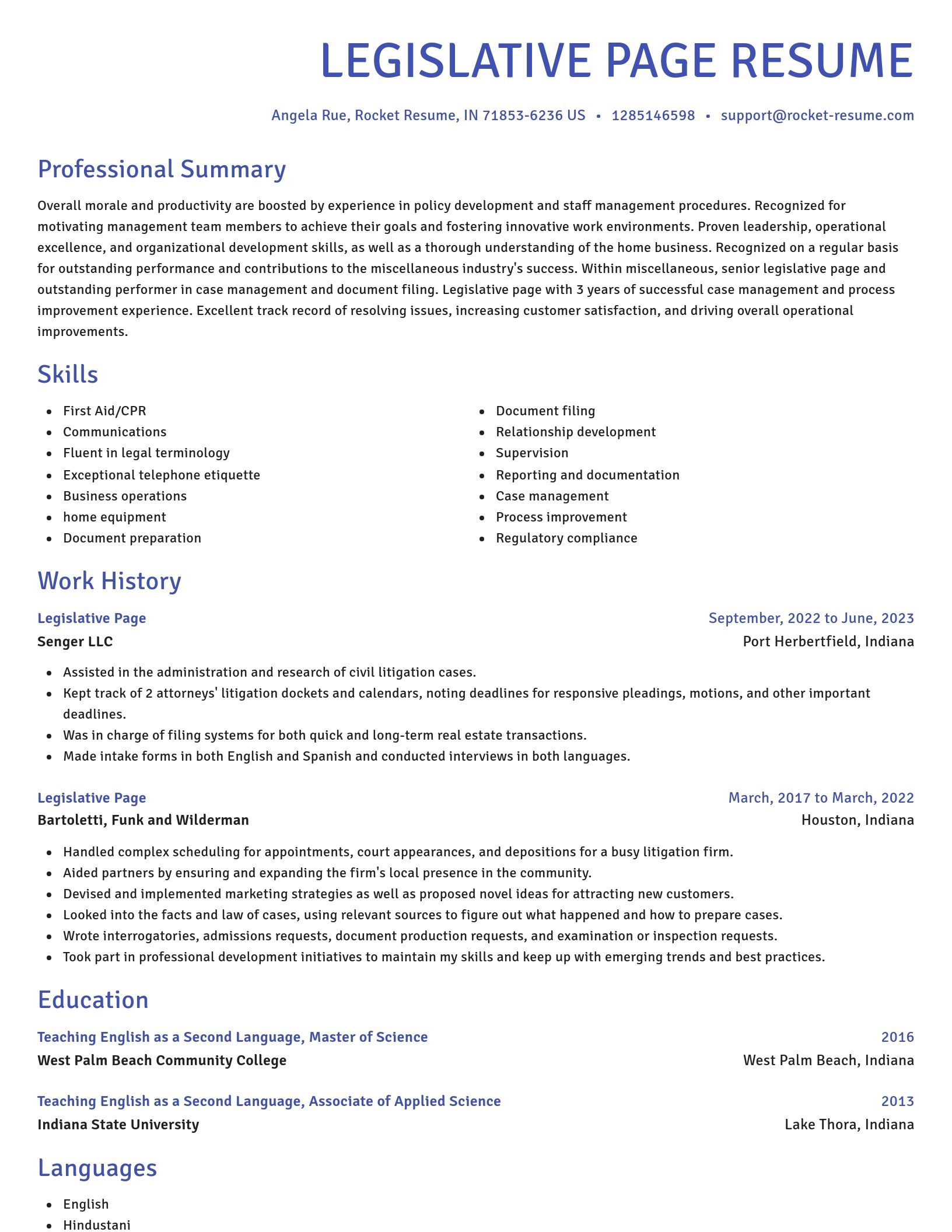 Novel resume template
