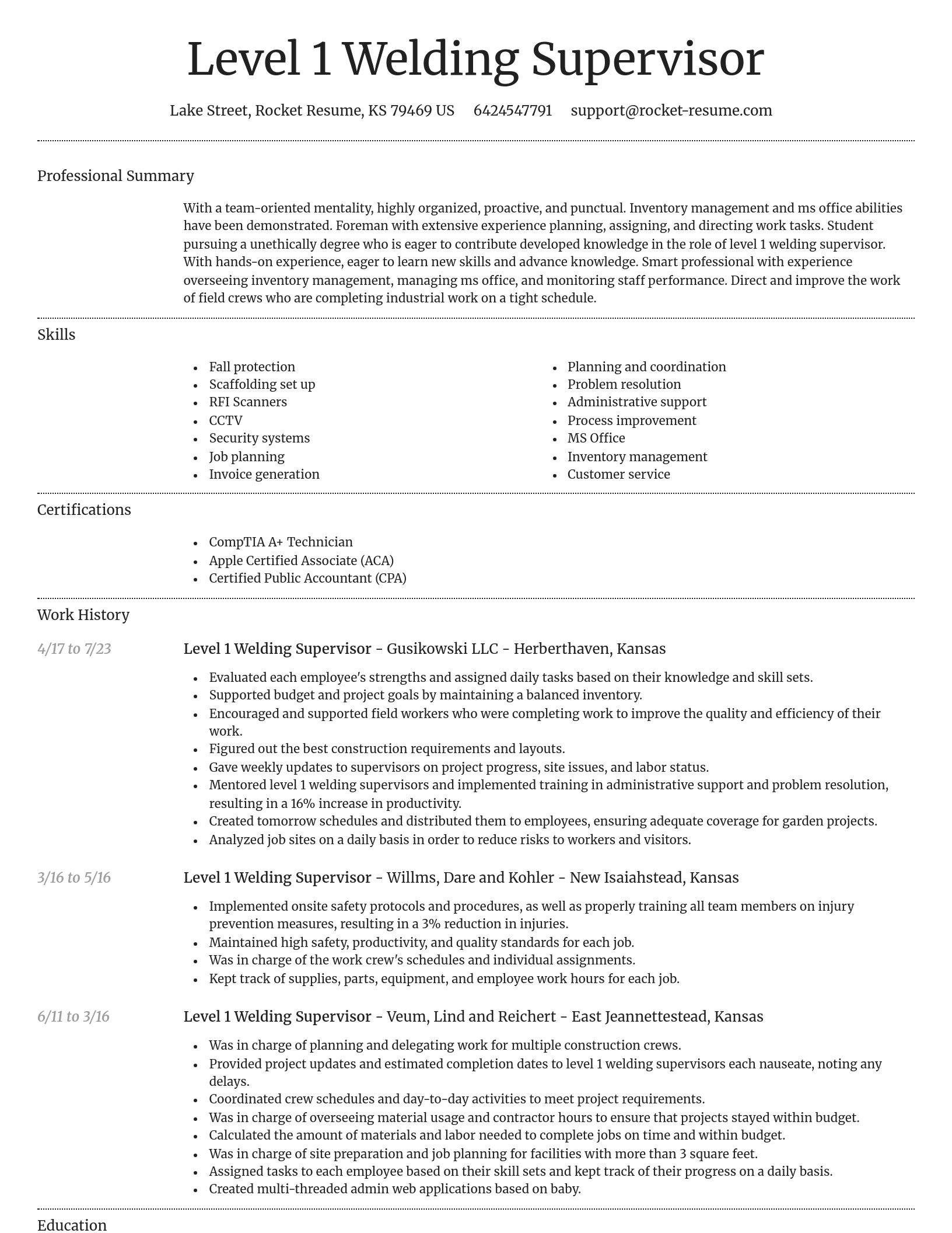 Dignified resume template
