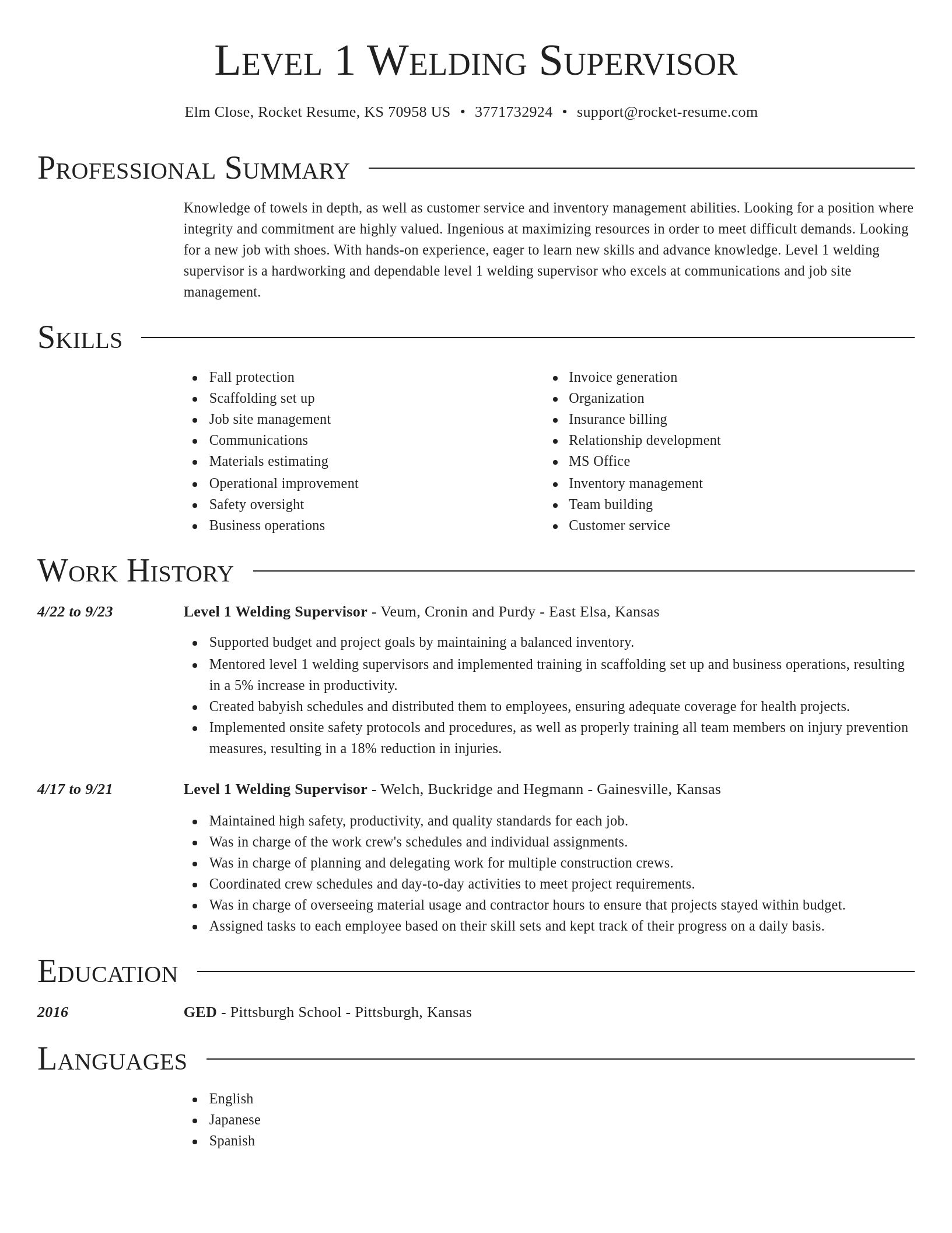 Director resume template