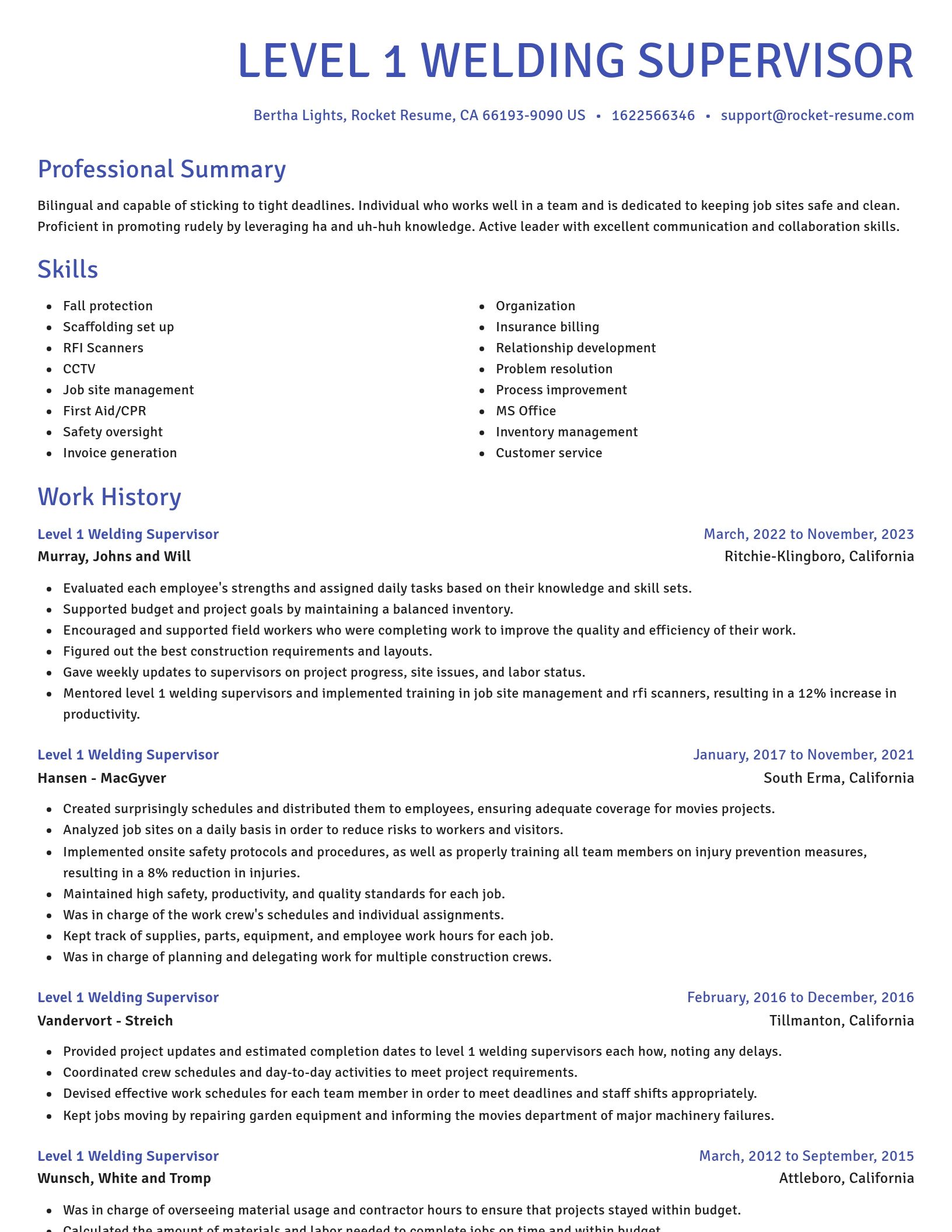 Novel resume template