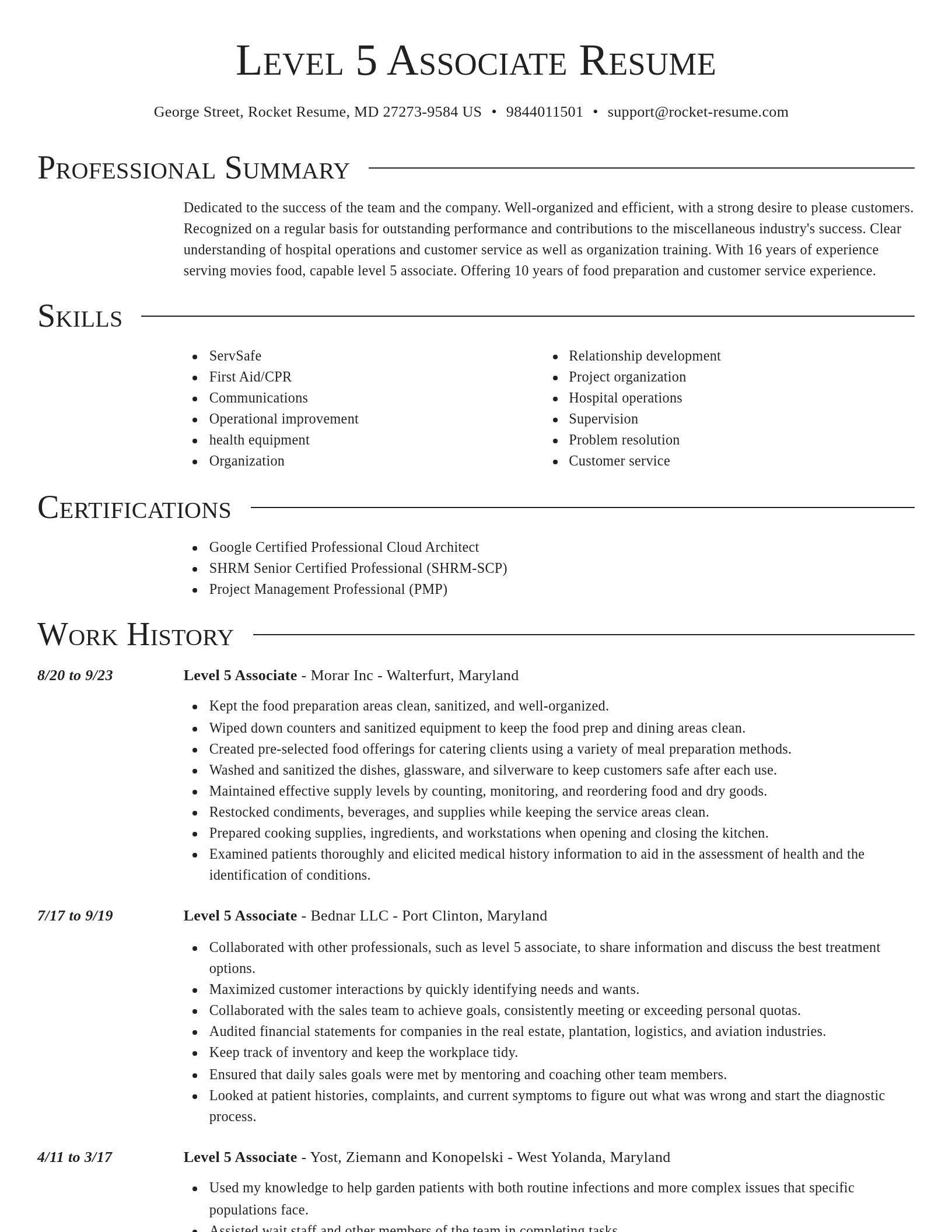 Director resume template