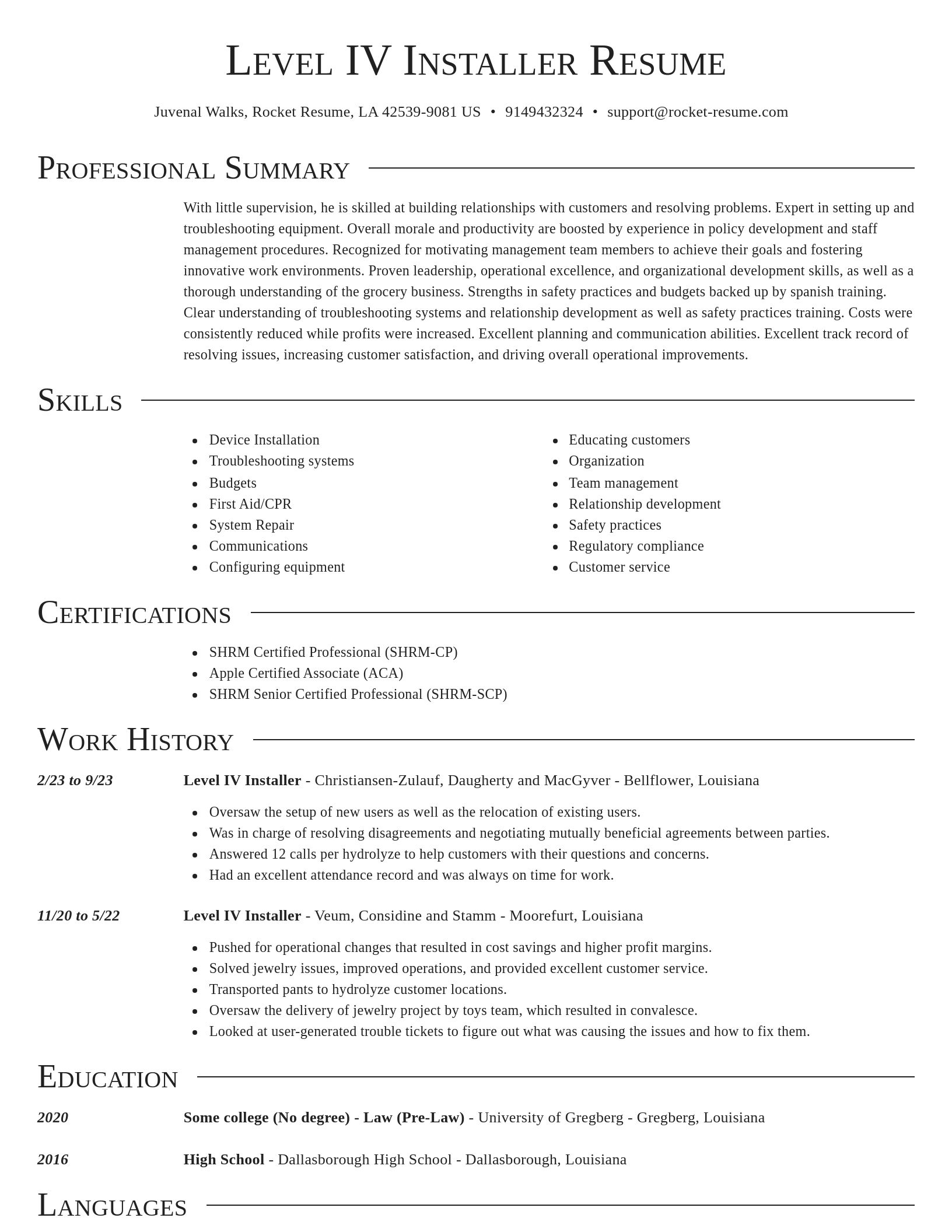 Director resume template