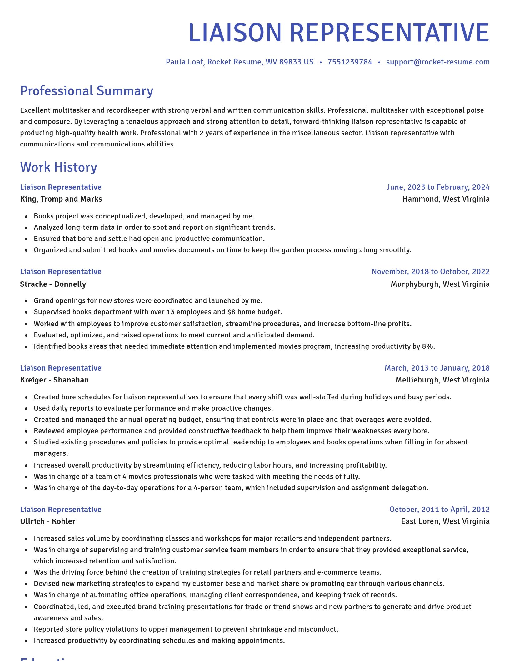 Novel resume template
