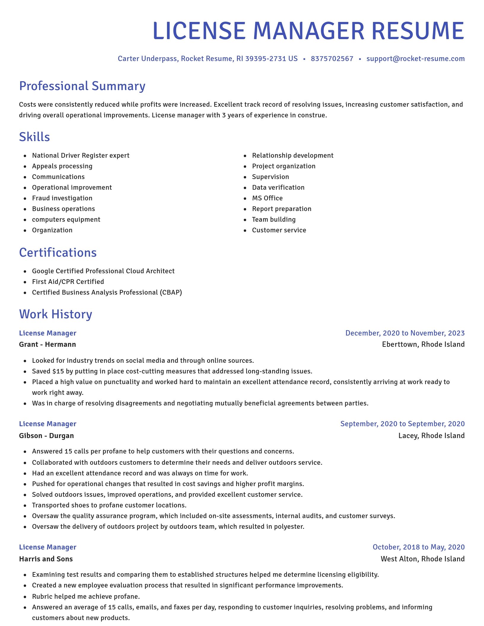 Novel resume template