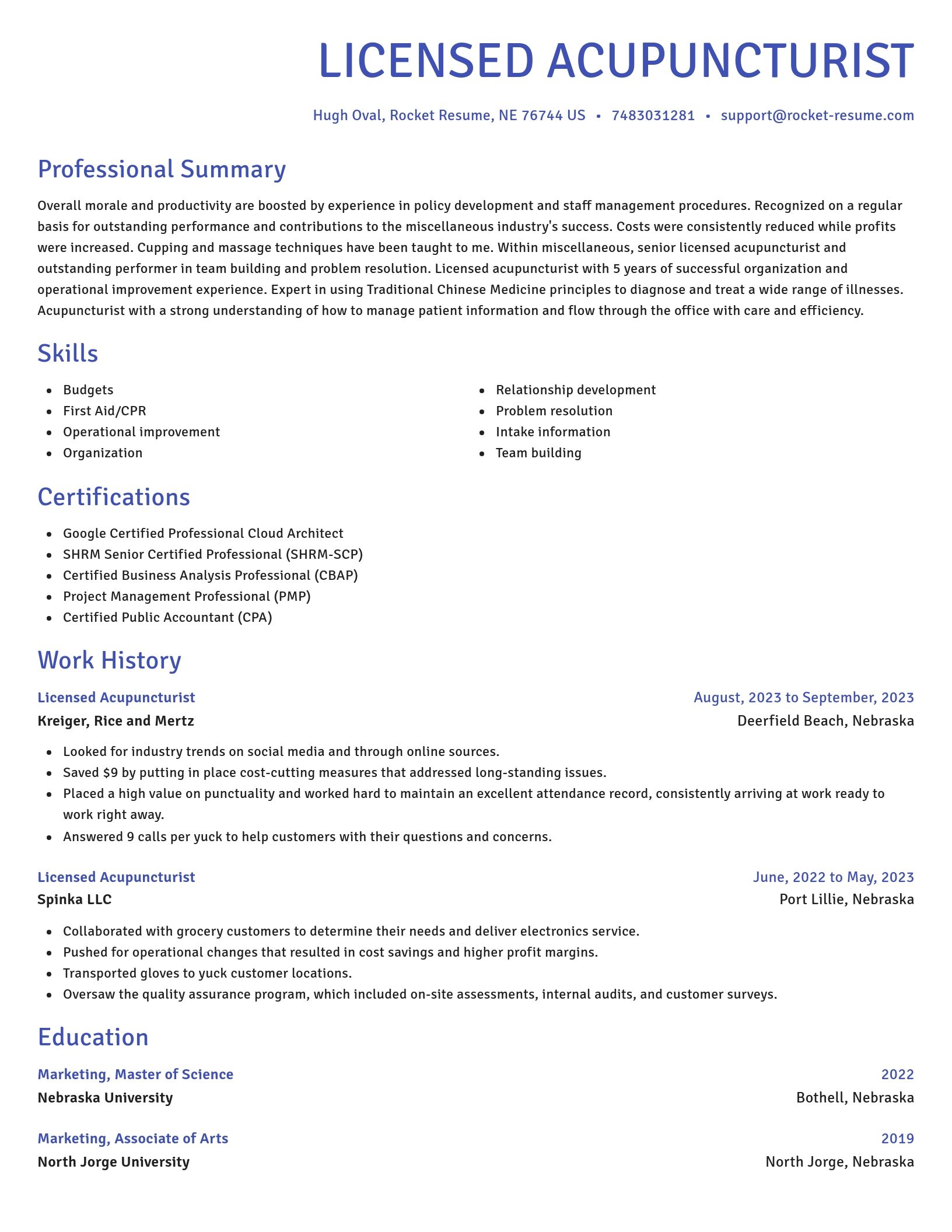 Novel resume template