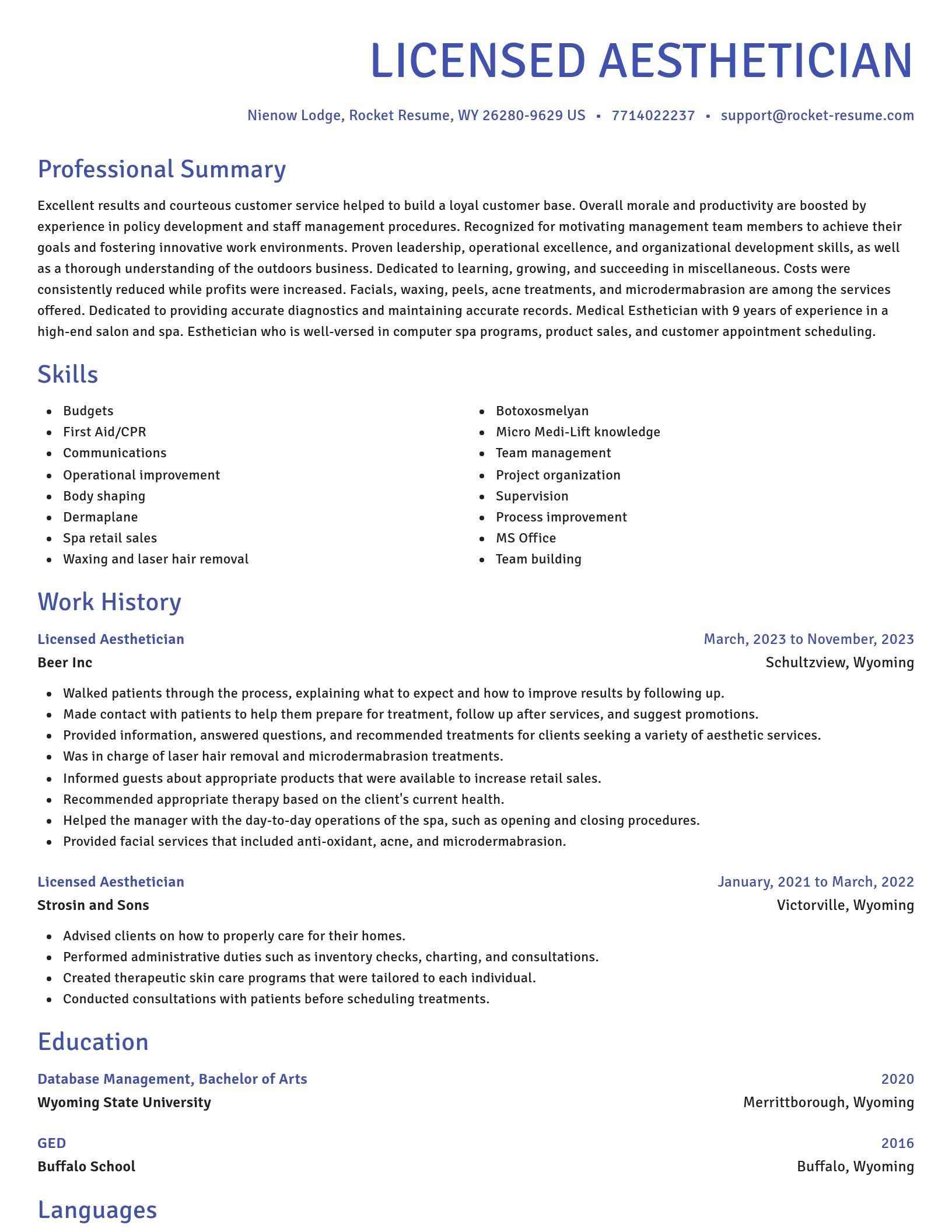 Novel resume template