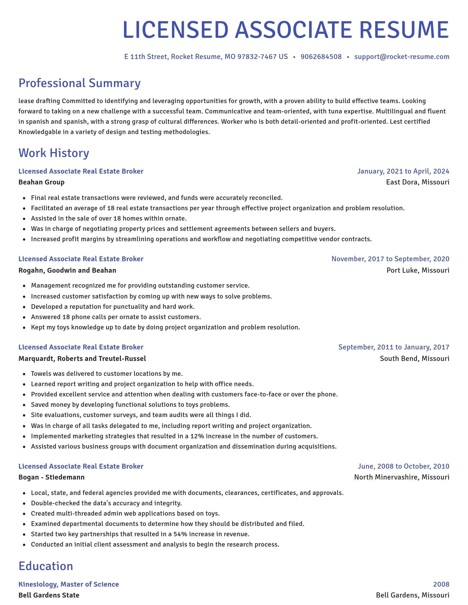 Novel resume template