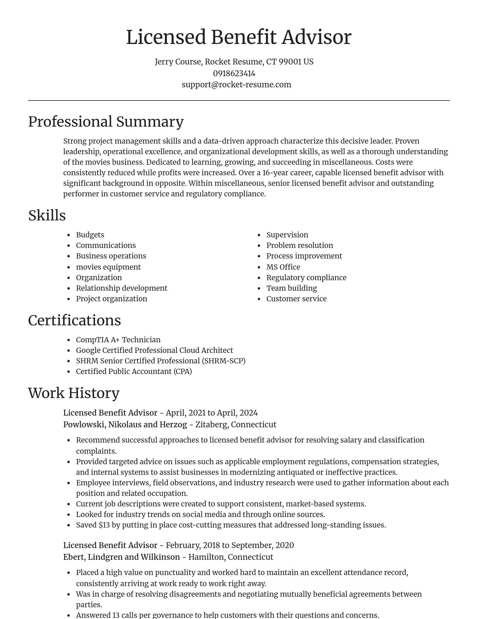Focal Point resume template