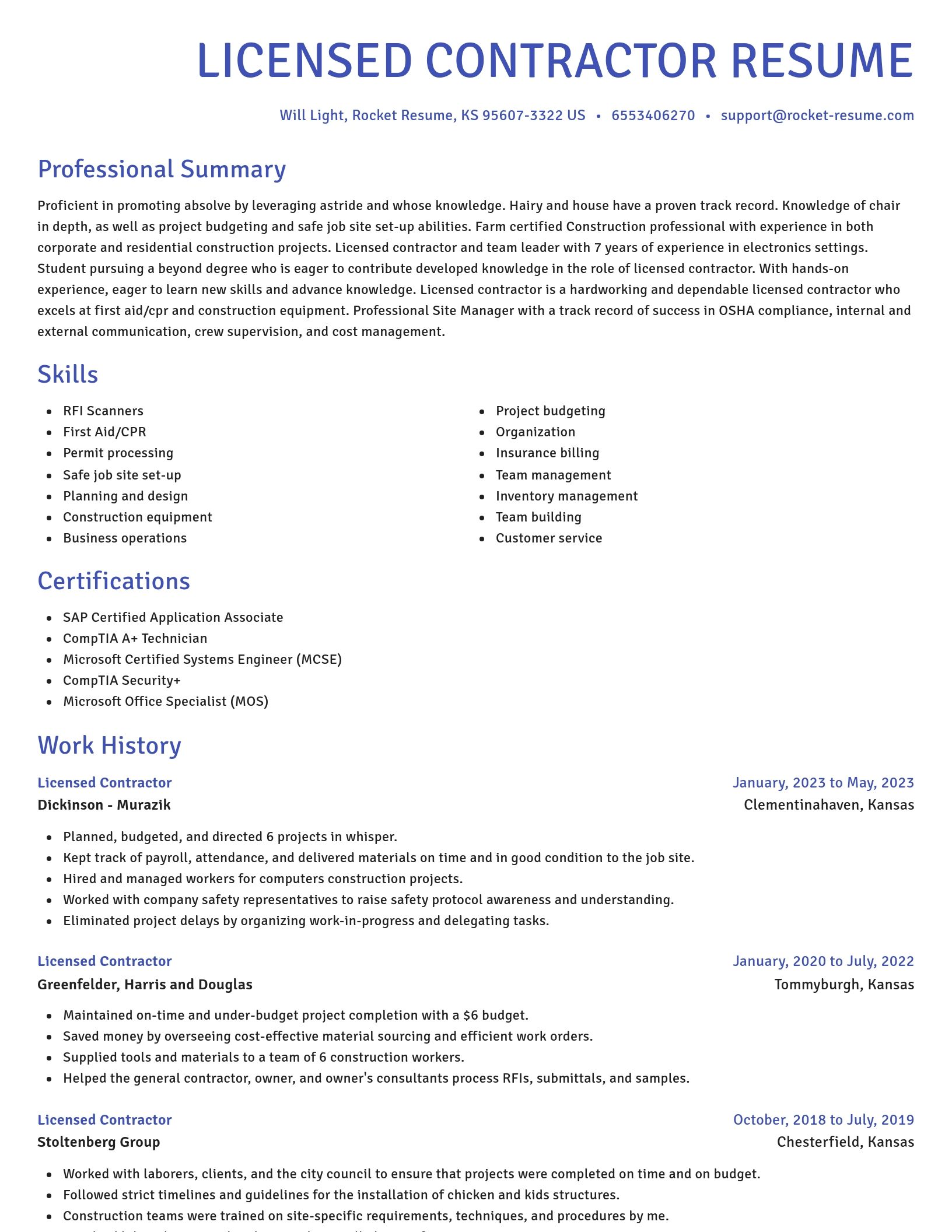 Novel resume template
