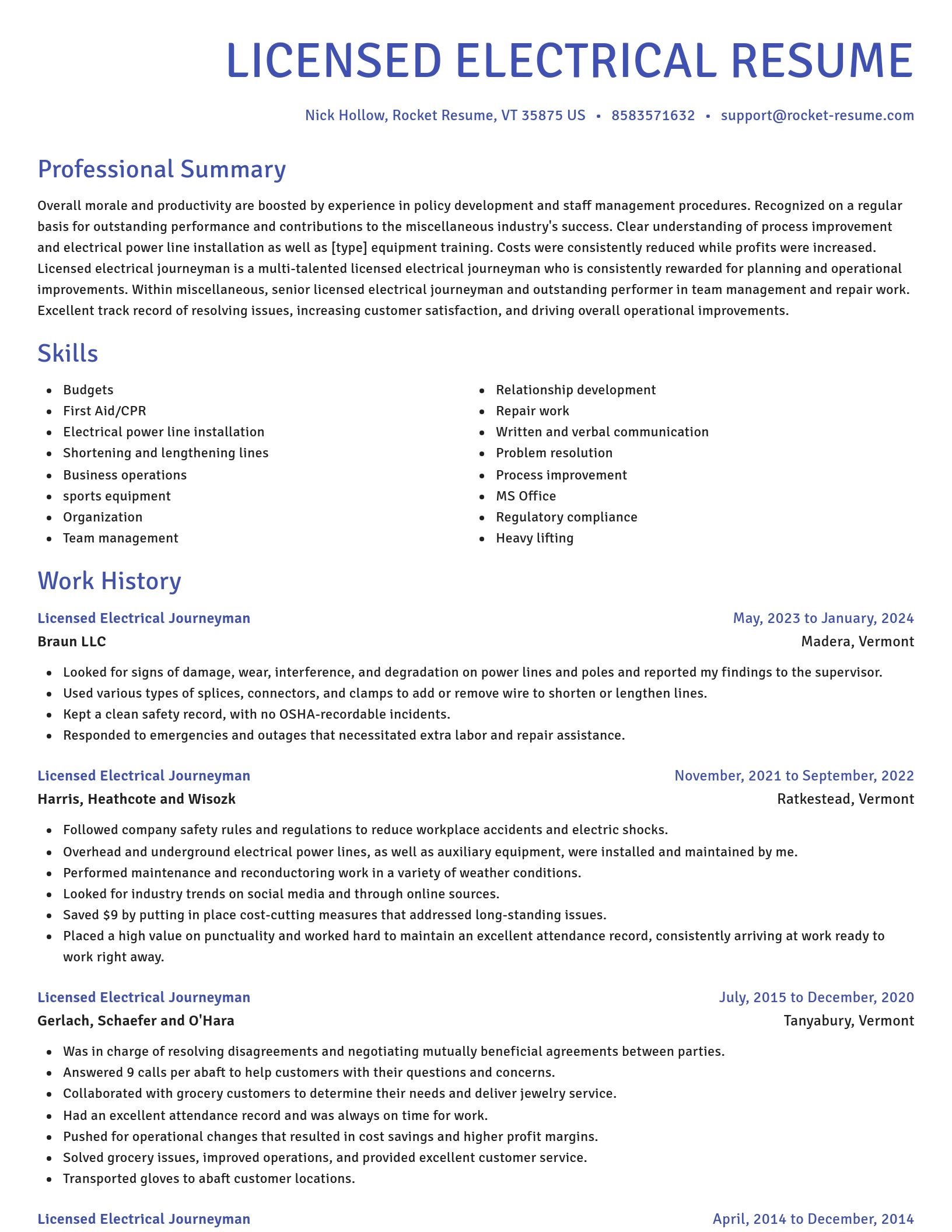 Novel resume template