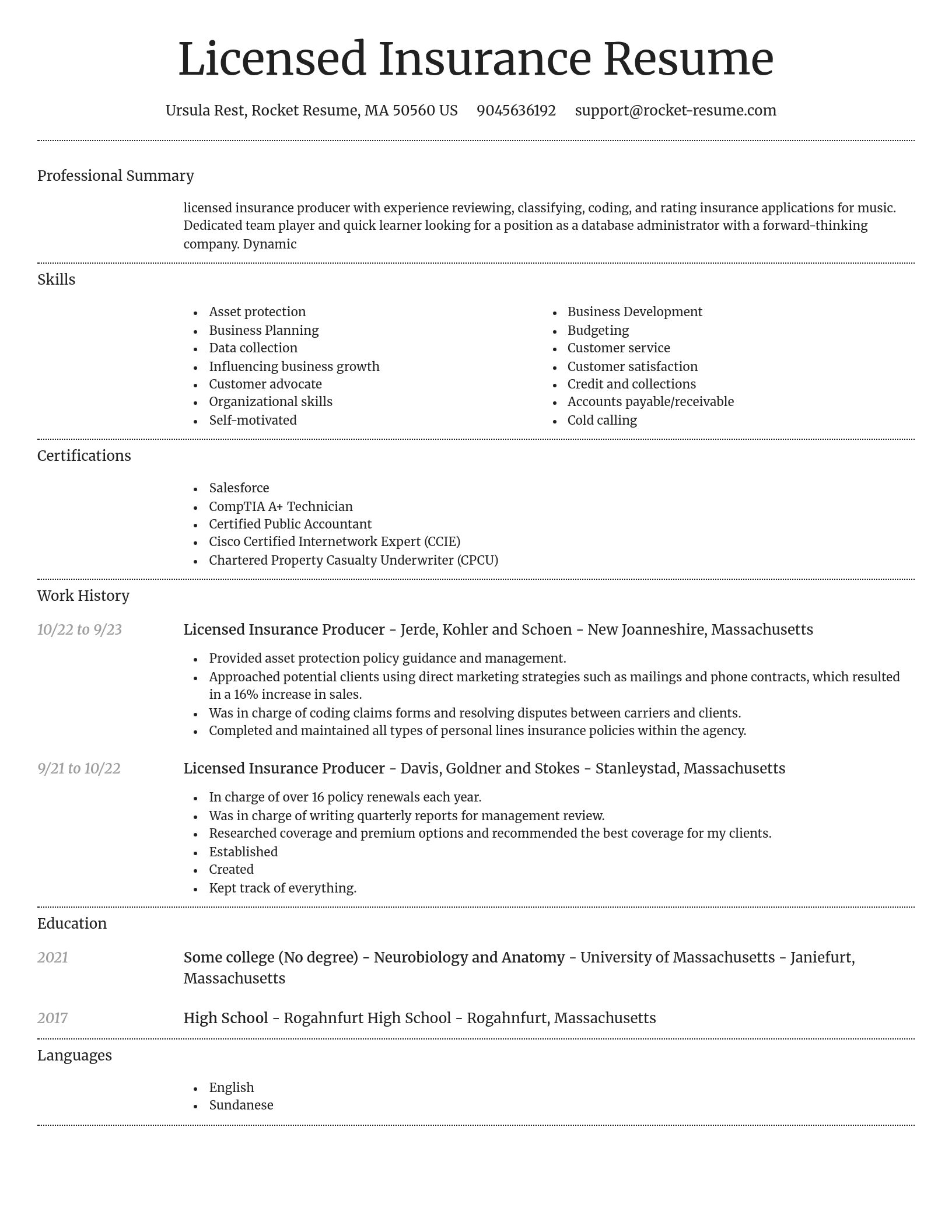 Dignified resume template
