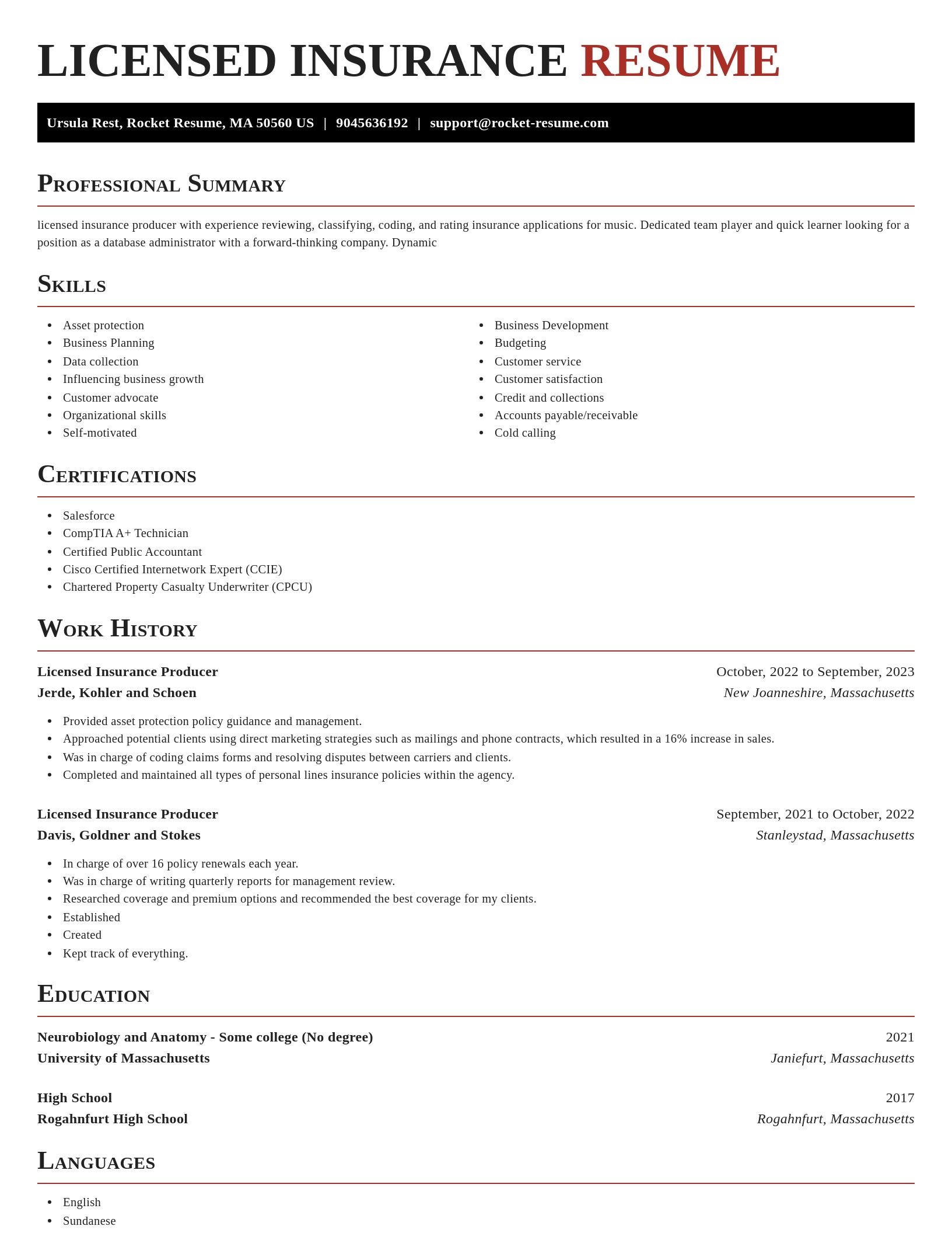 Exquisite resume template