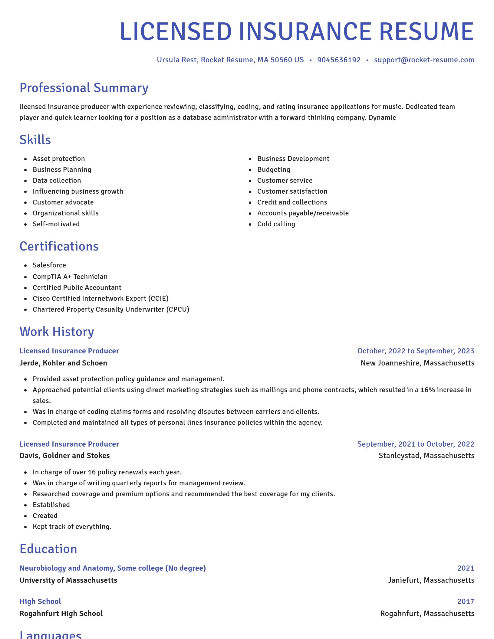 Novel resume template