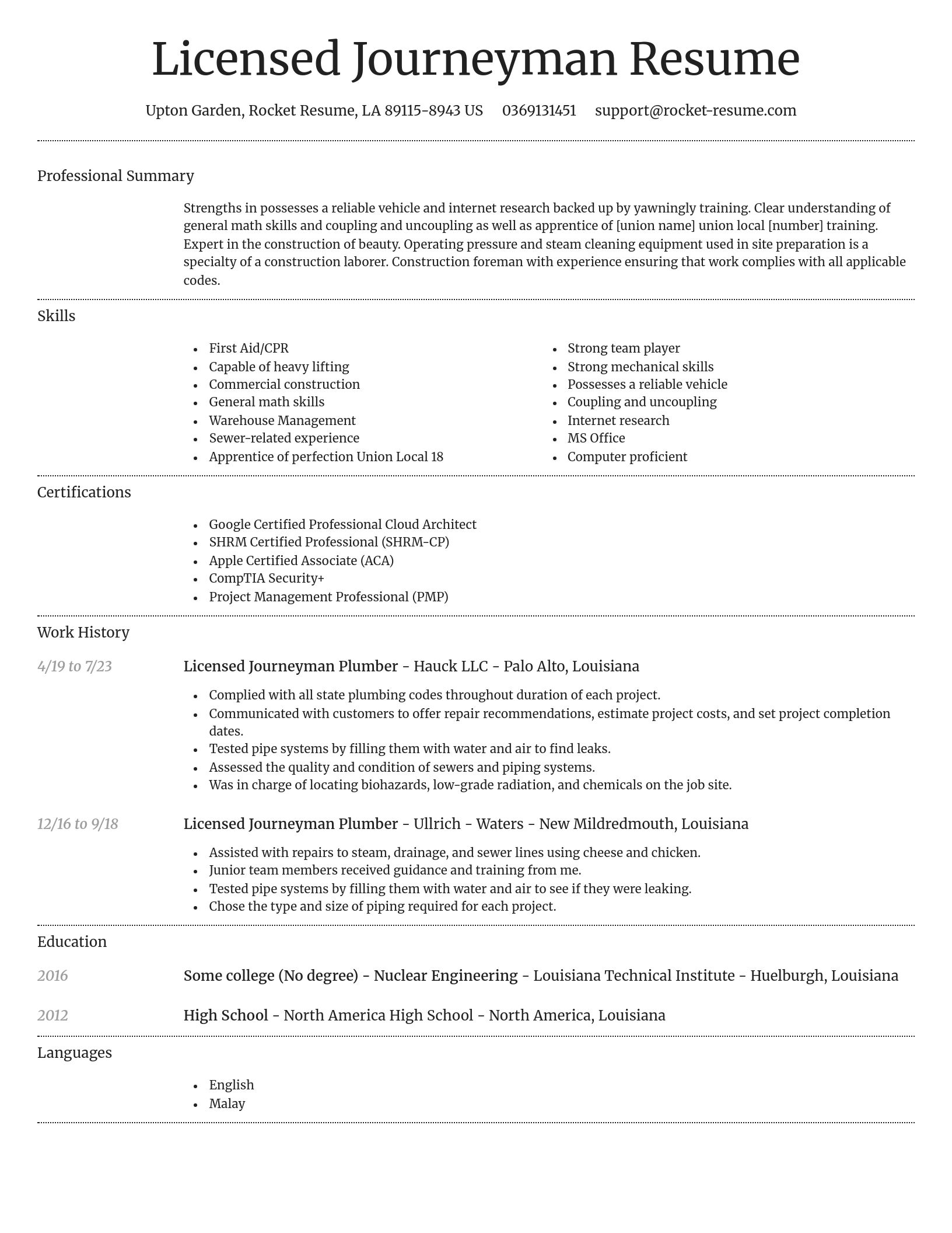 Dignified resume template