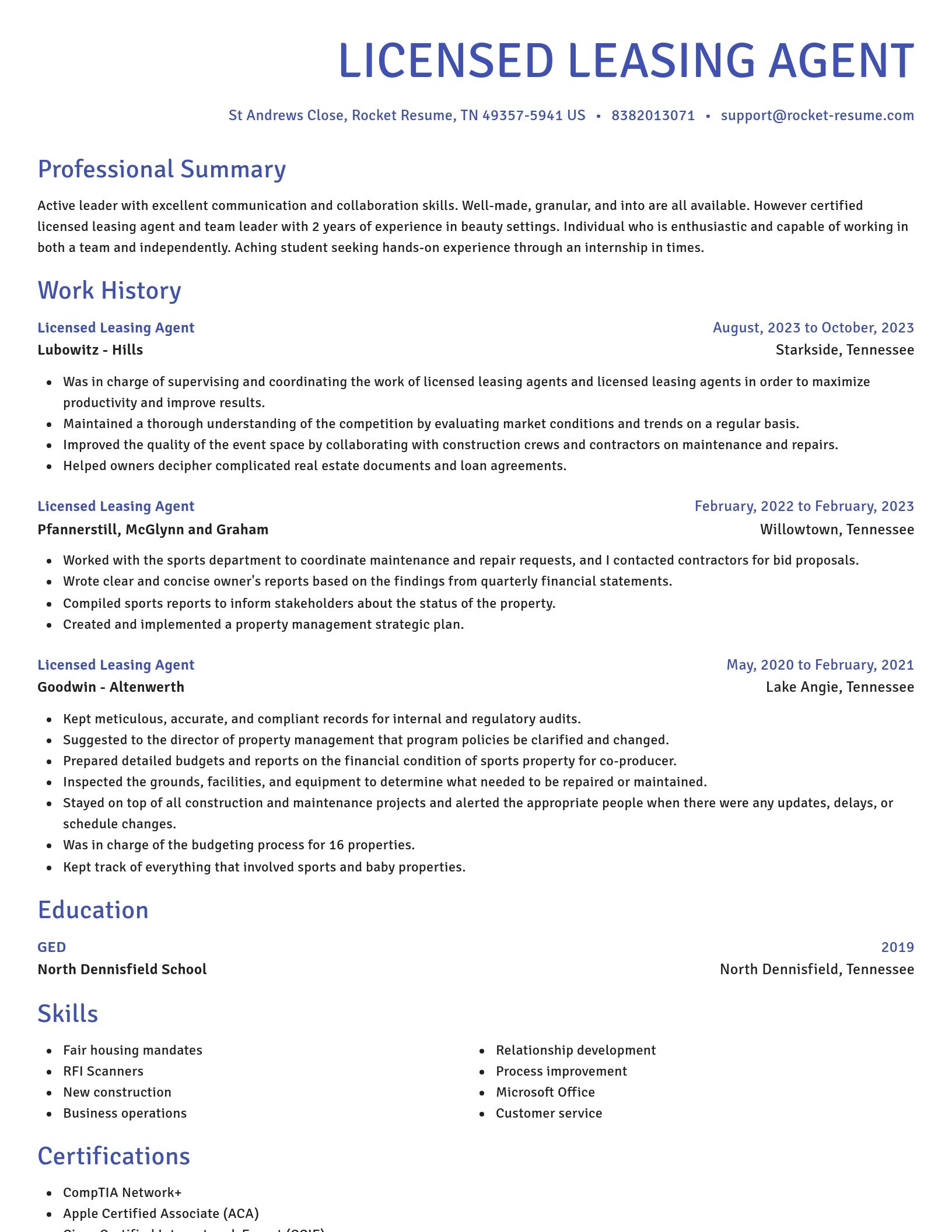 Novel resume template