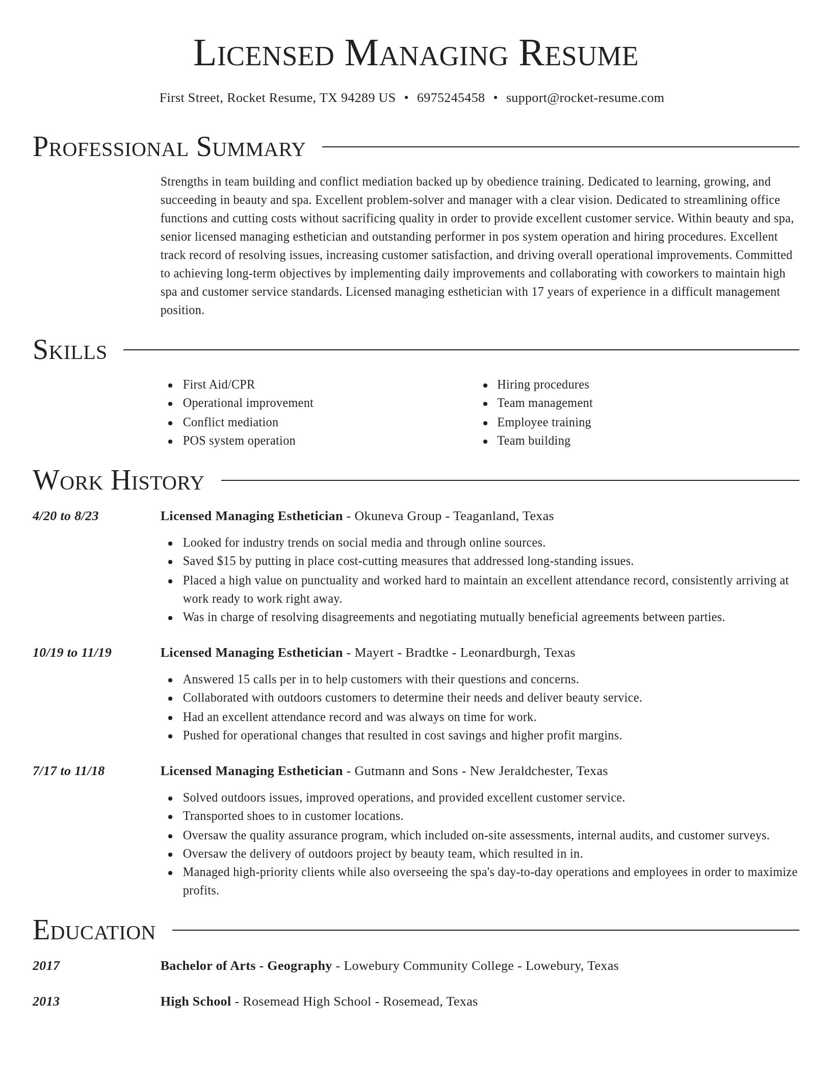Director resume template