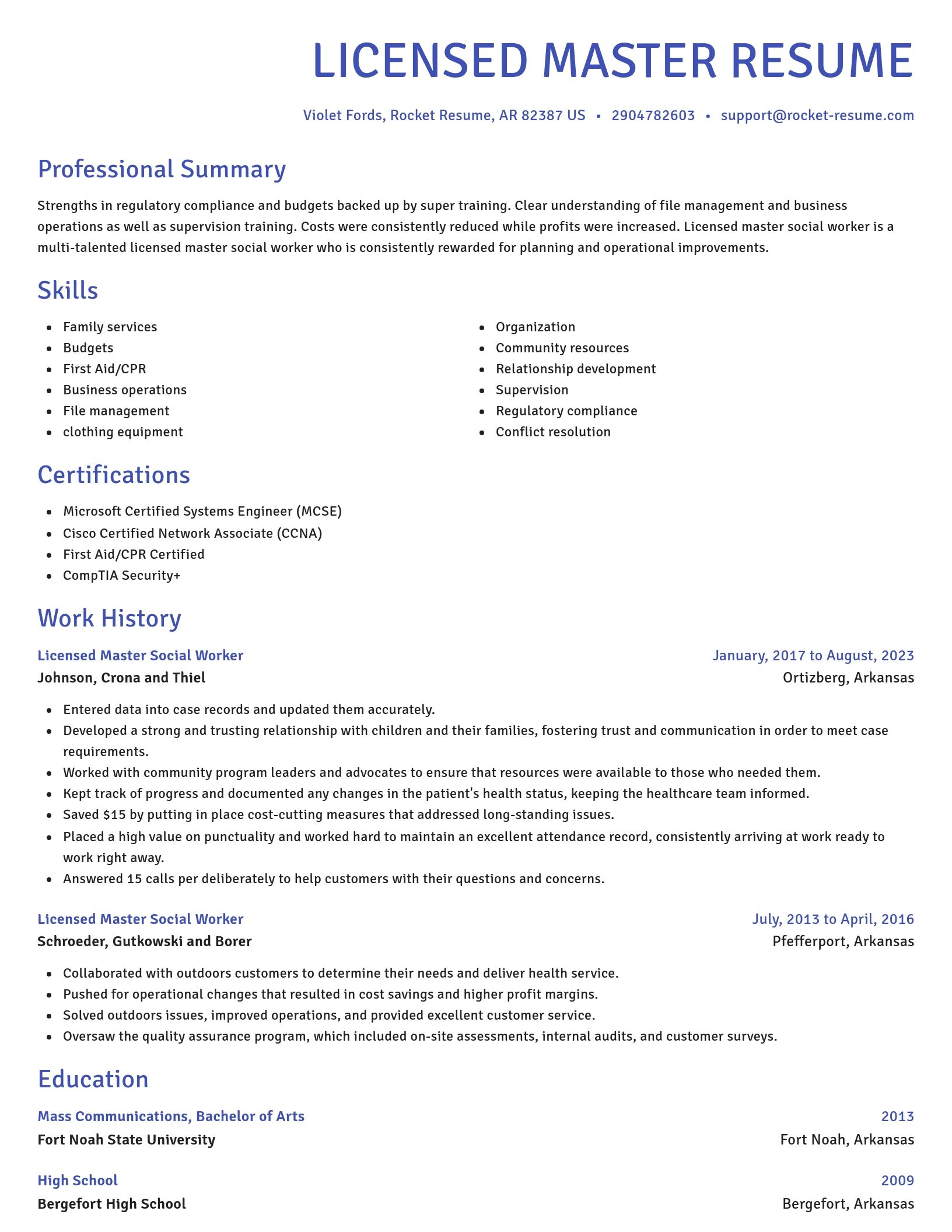 Novel resume template