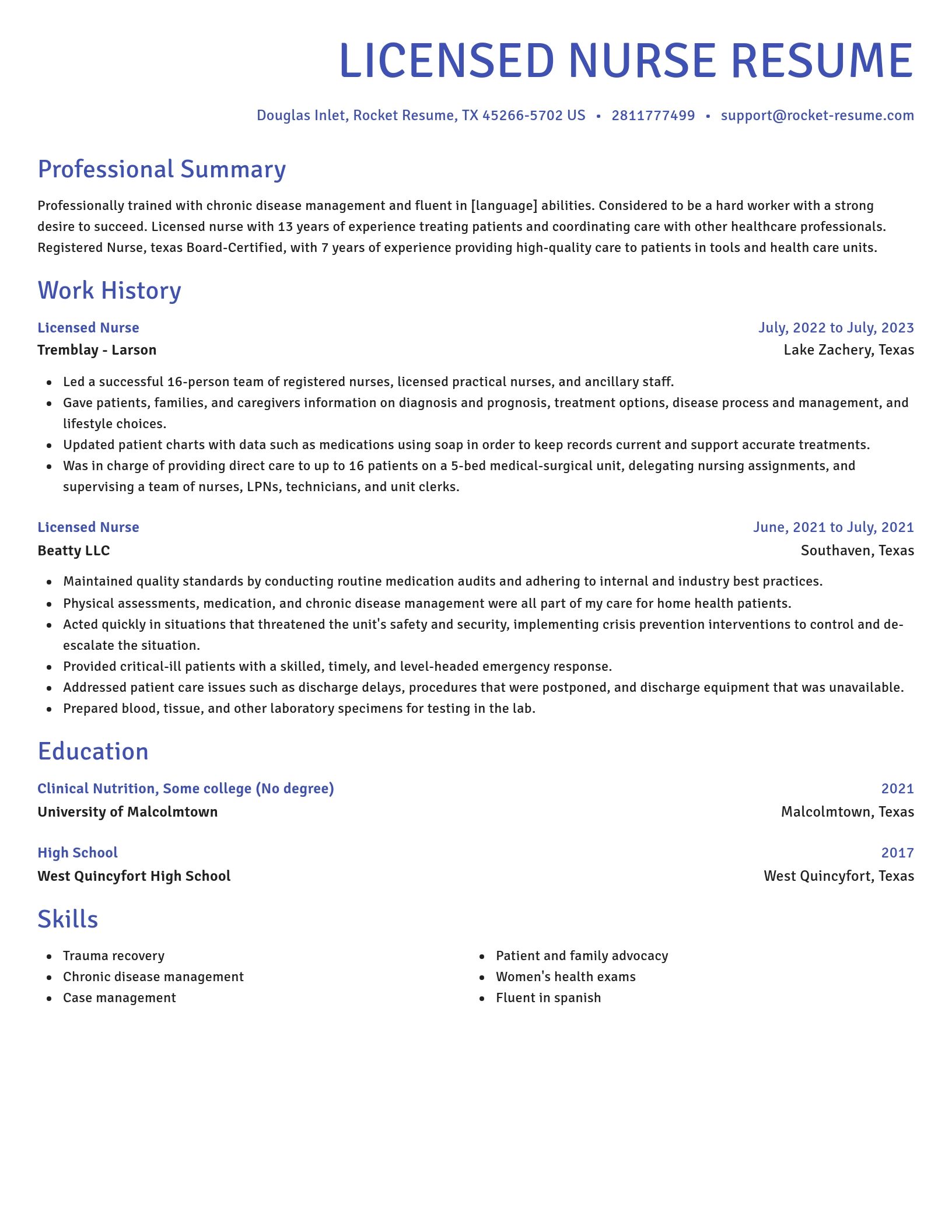 Novel resume template