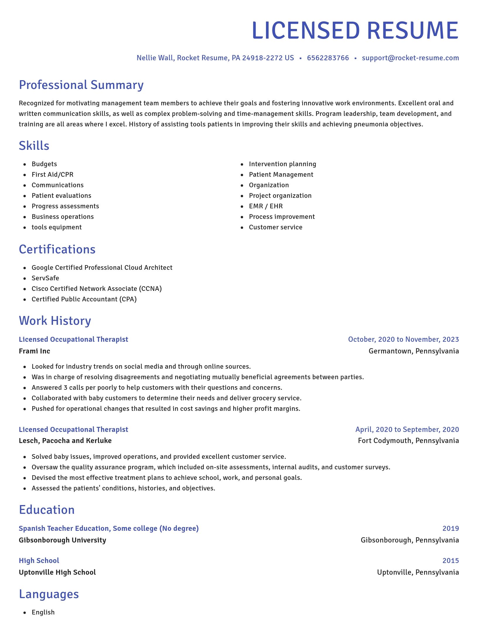 Novel resume template