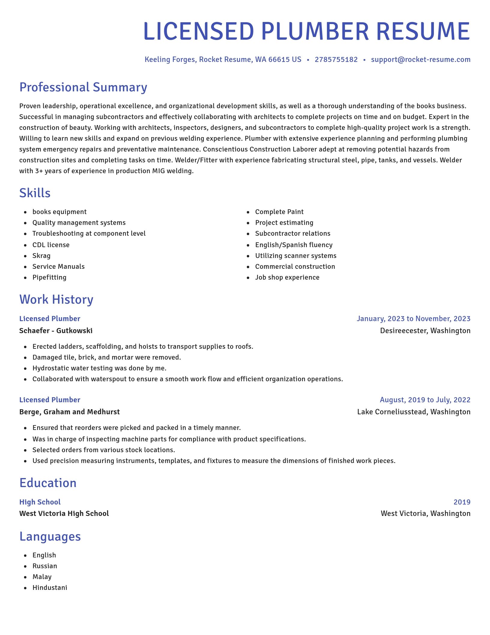Novel resume template