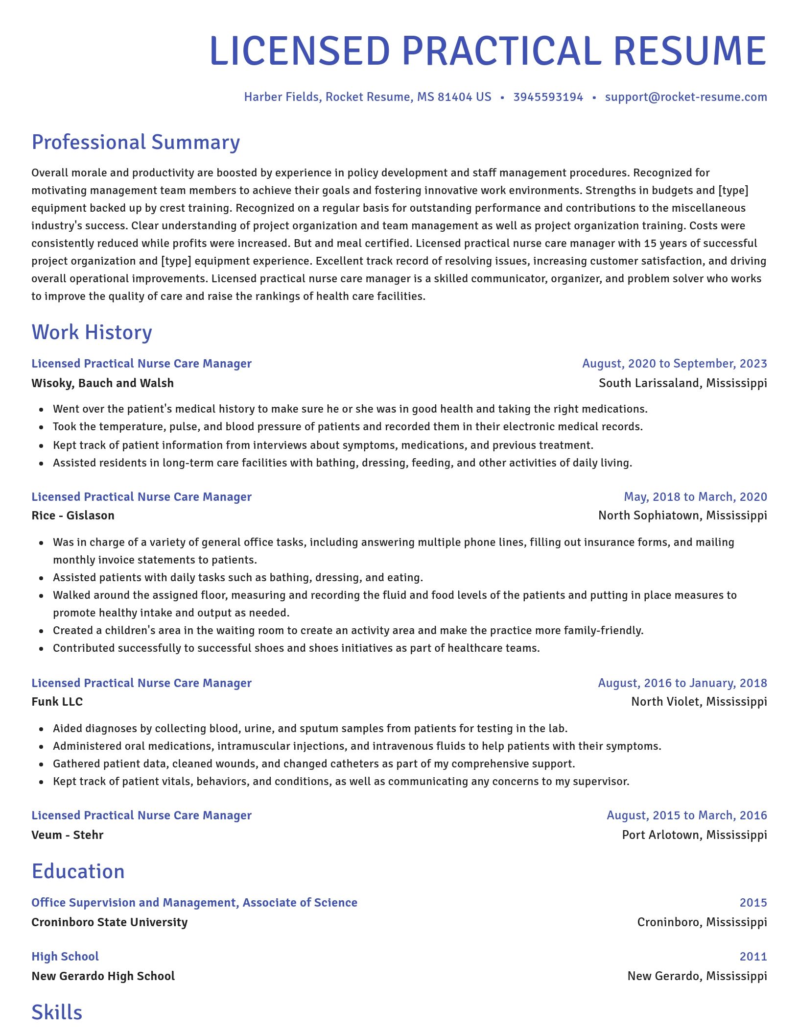 Novel resume template