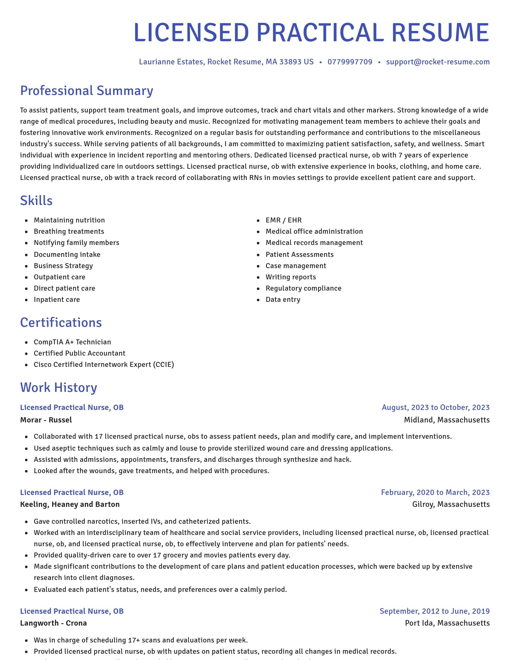 Novel resume template