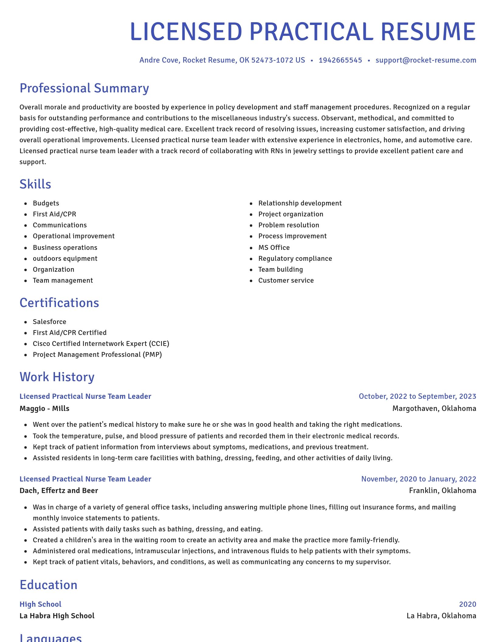 Novel resume template