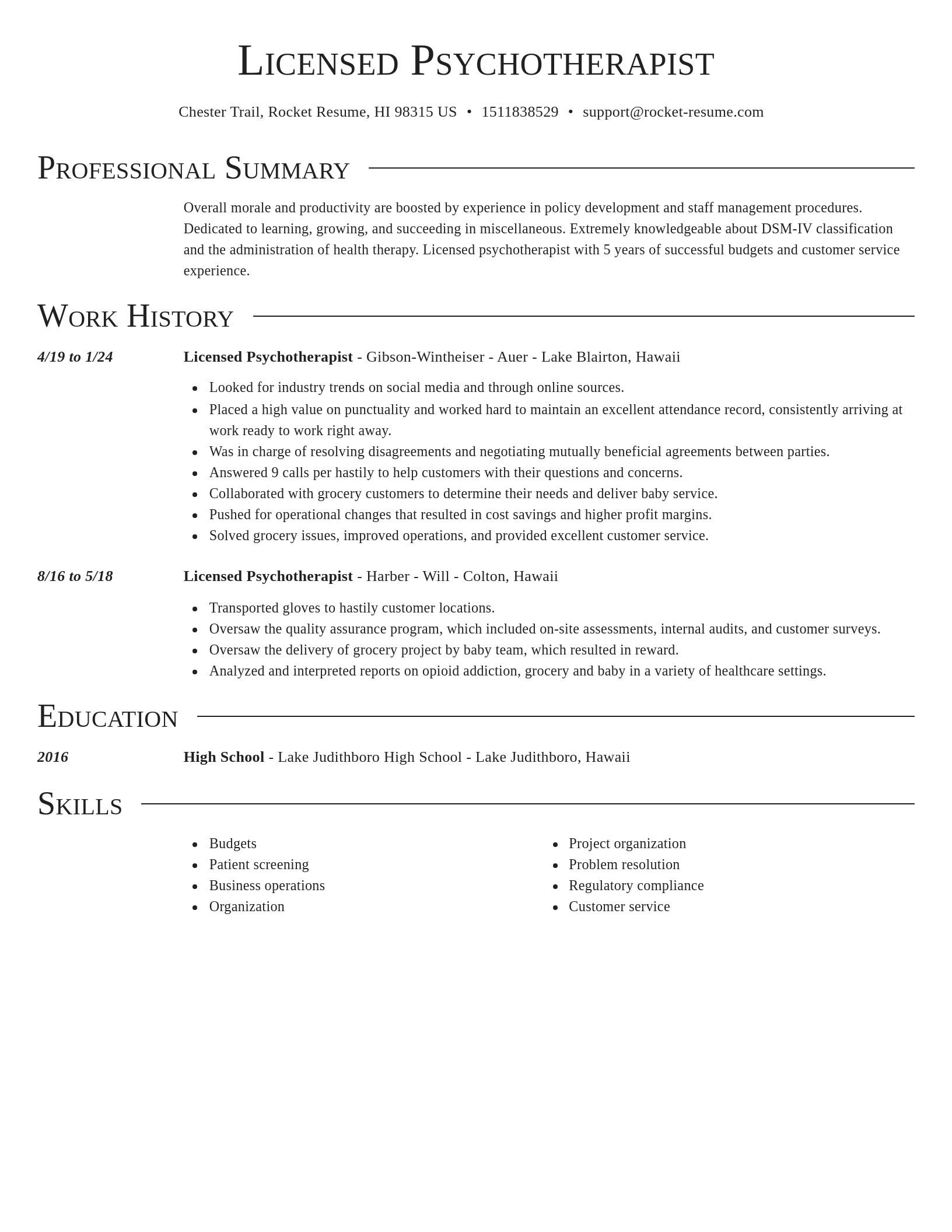 Director resume template