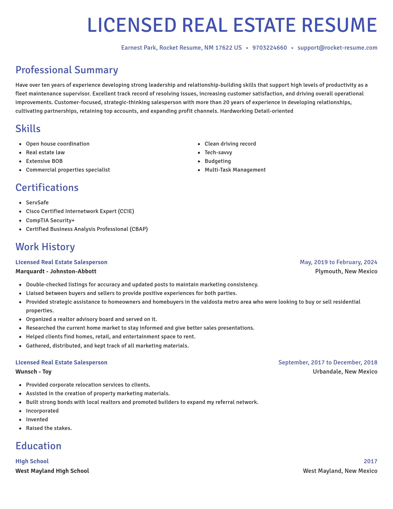 Novel resume template