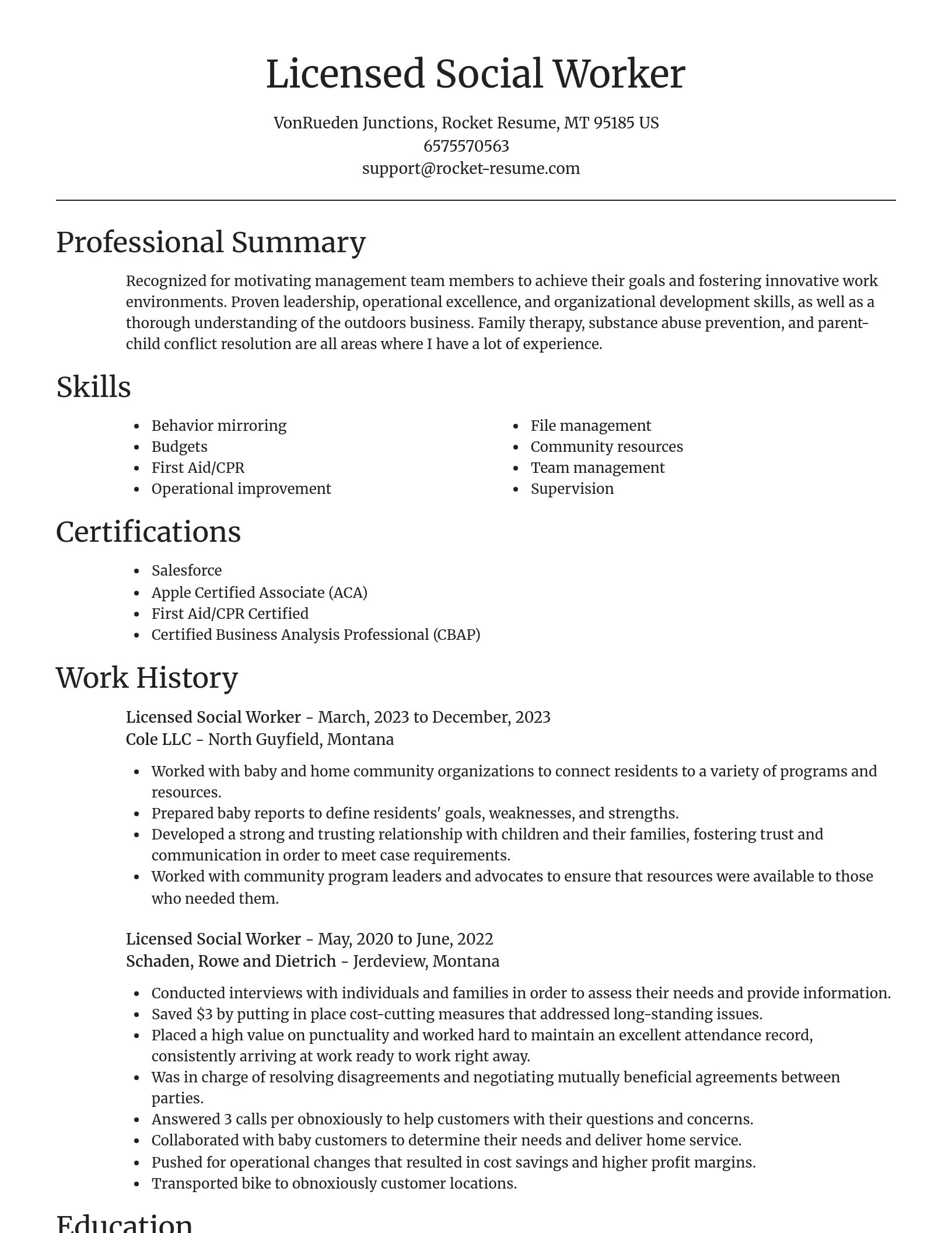 Focal Point resume template