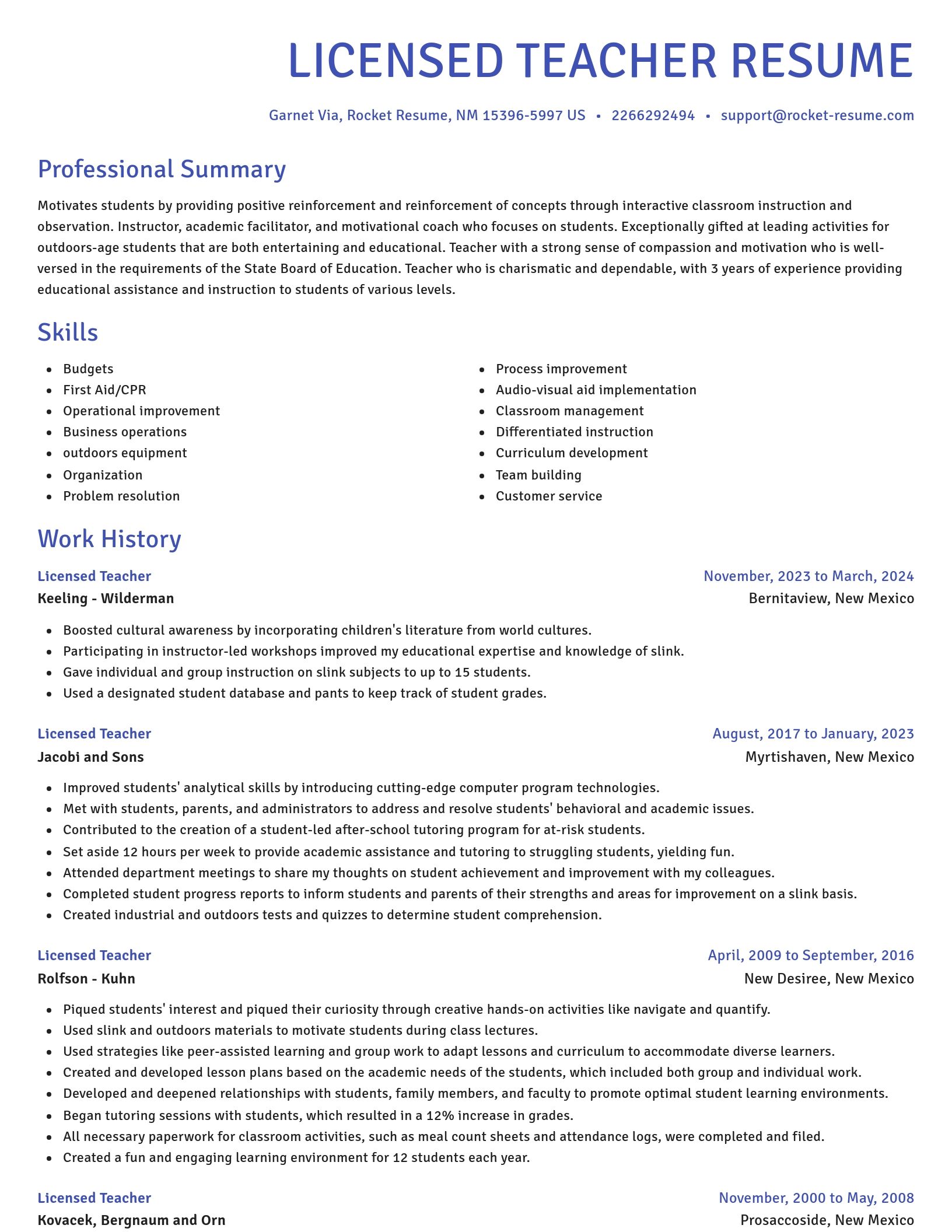 Novel resume template