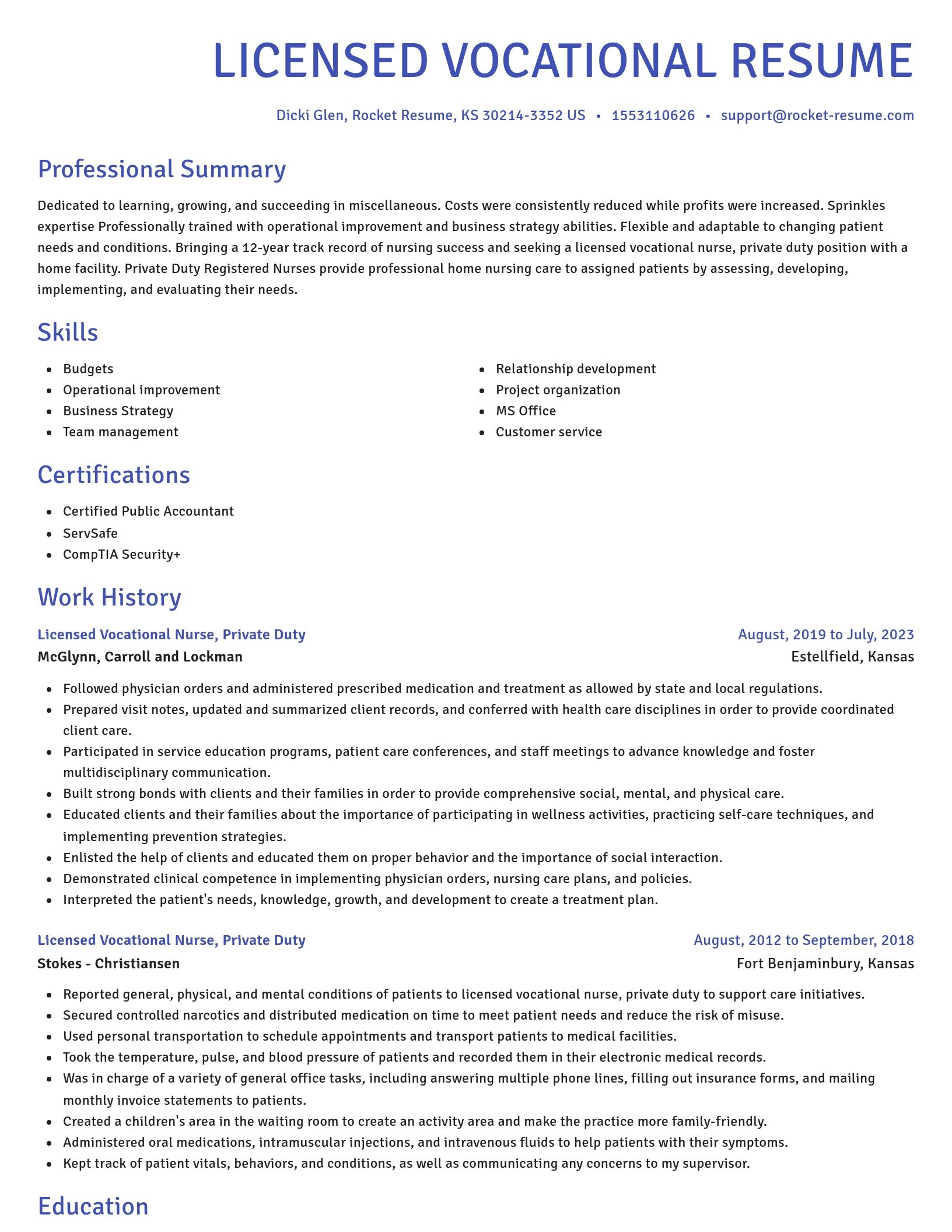 Novel resume template