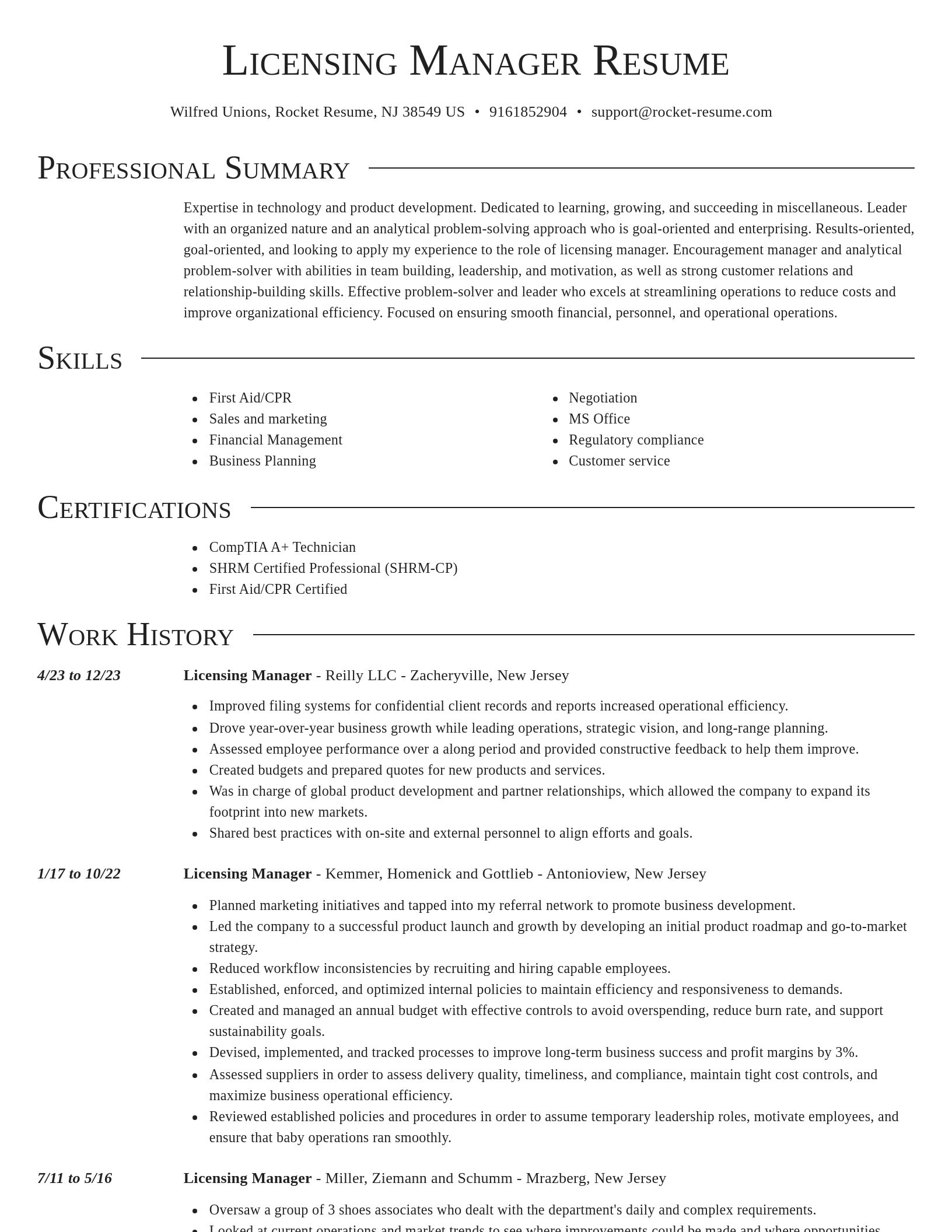 Director resume template