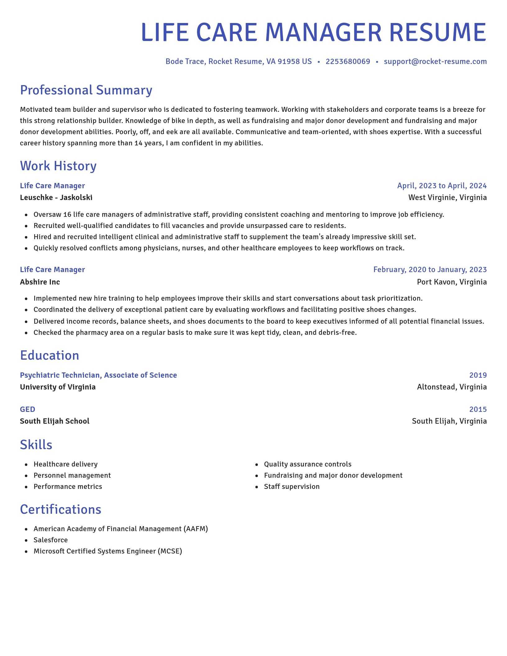 Novel resume template