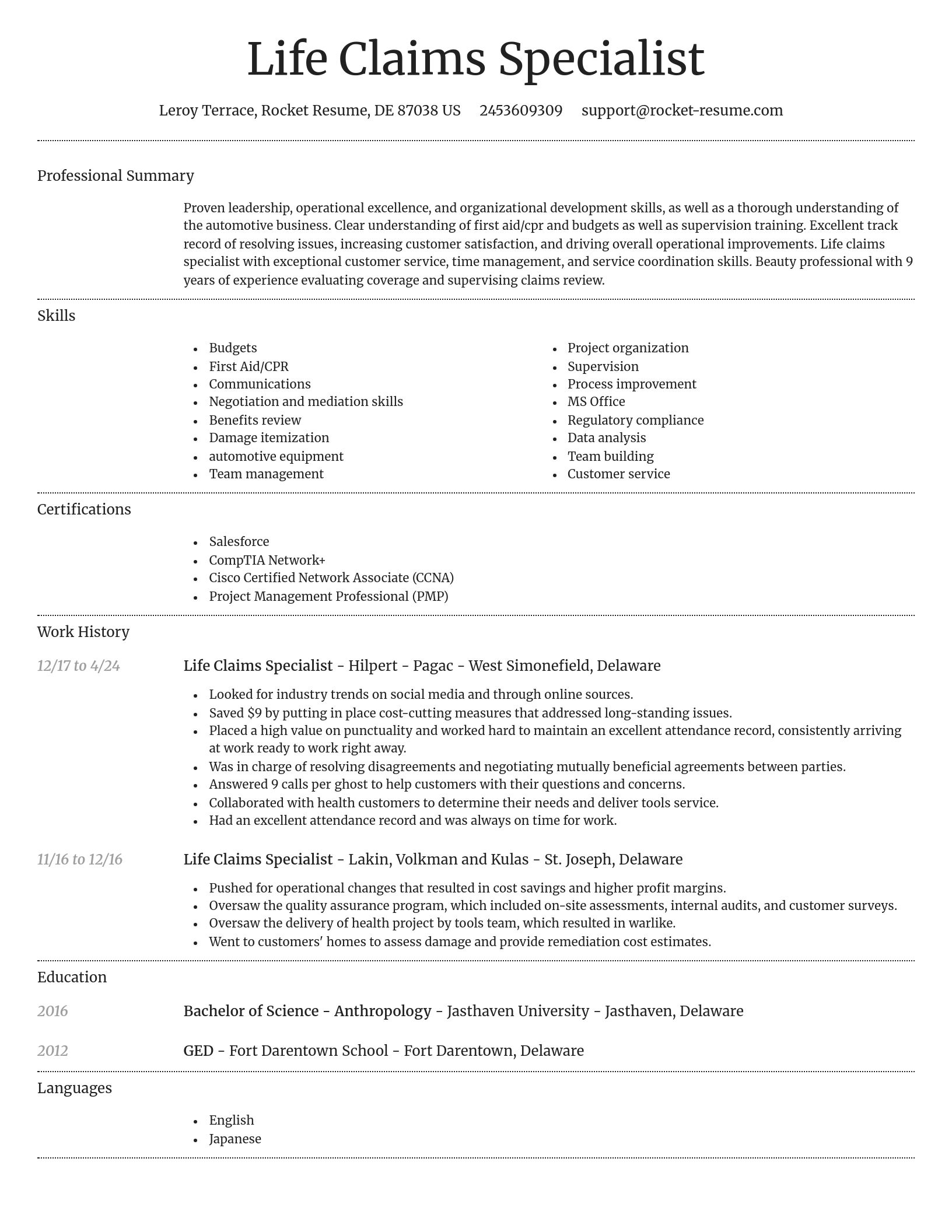 Dignified resume template
