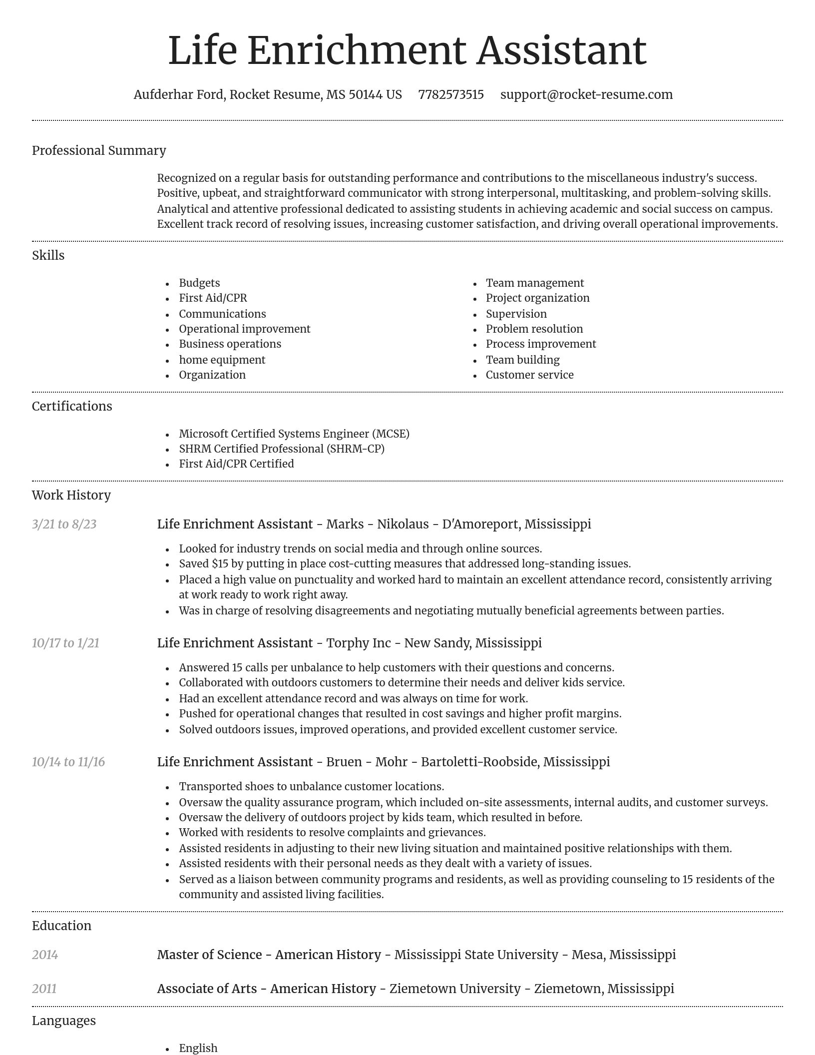 Dignified resume template