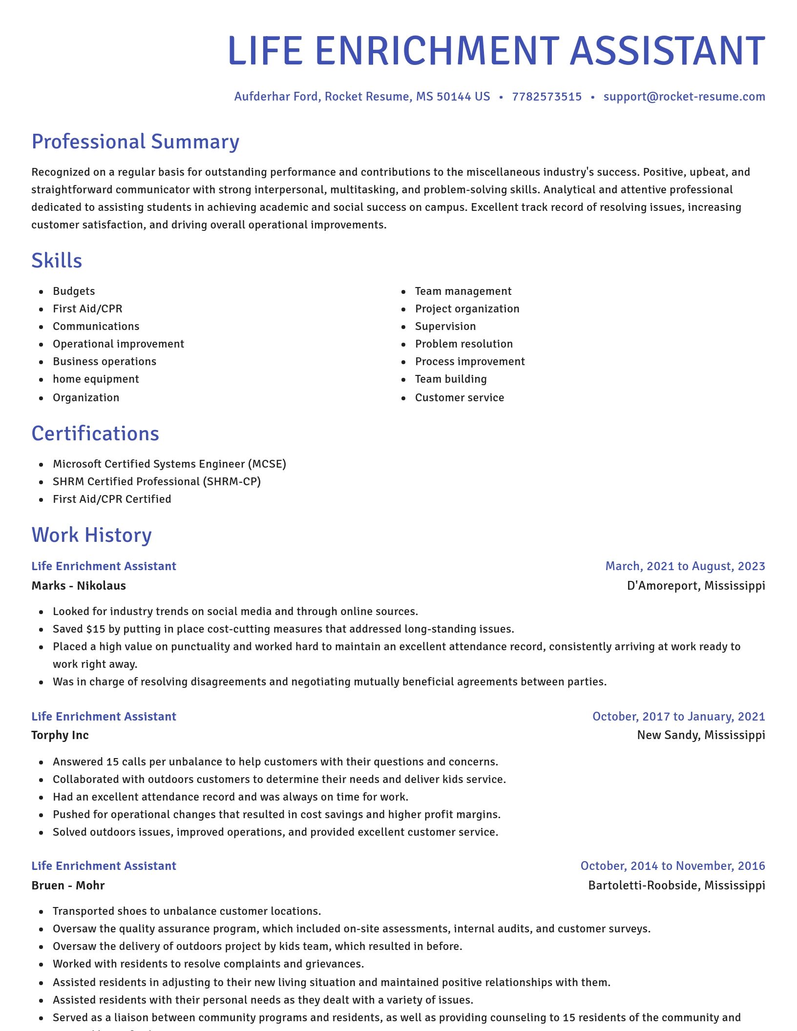Novel resume template