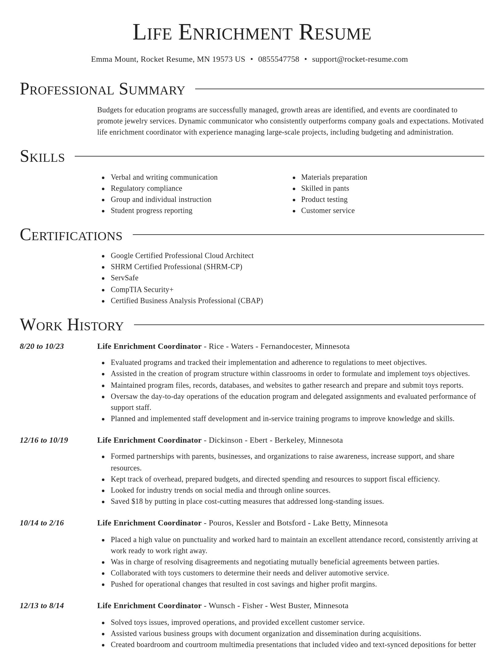 Director resume template