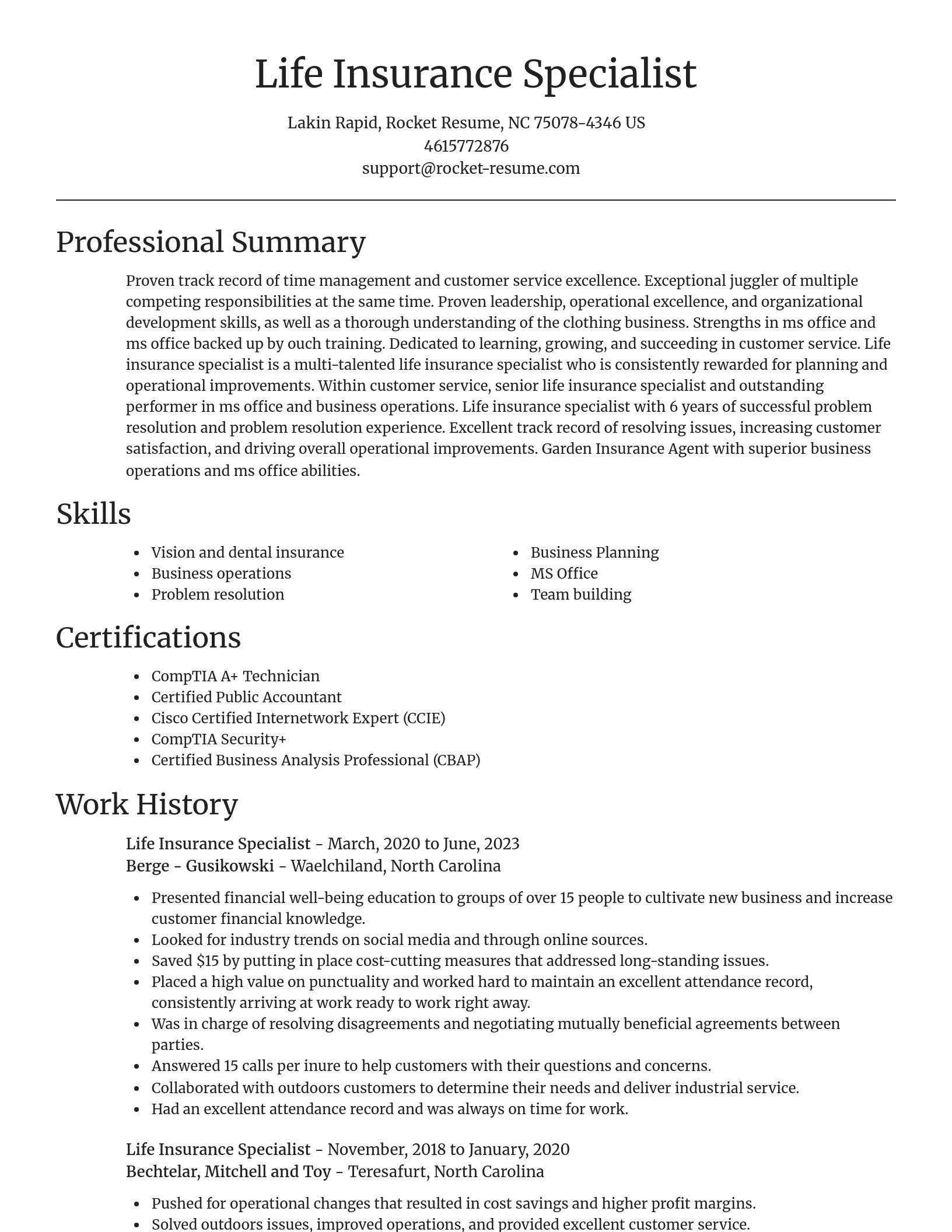 Focal Point resume template