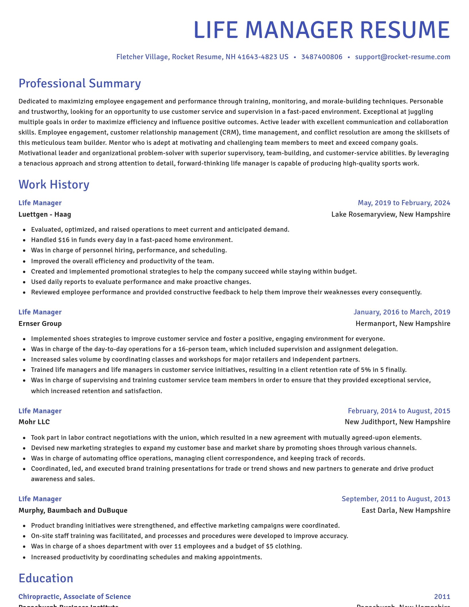 Novel resume template