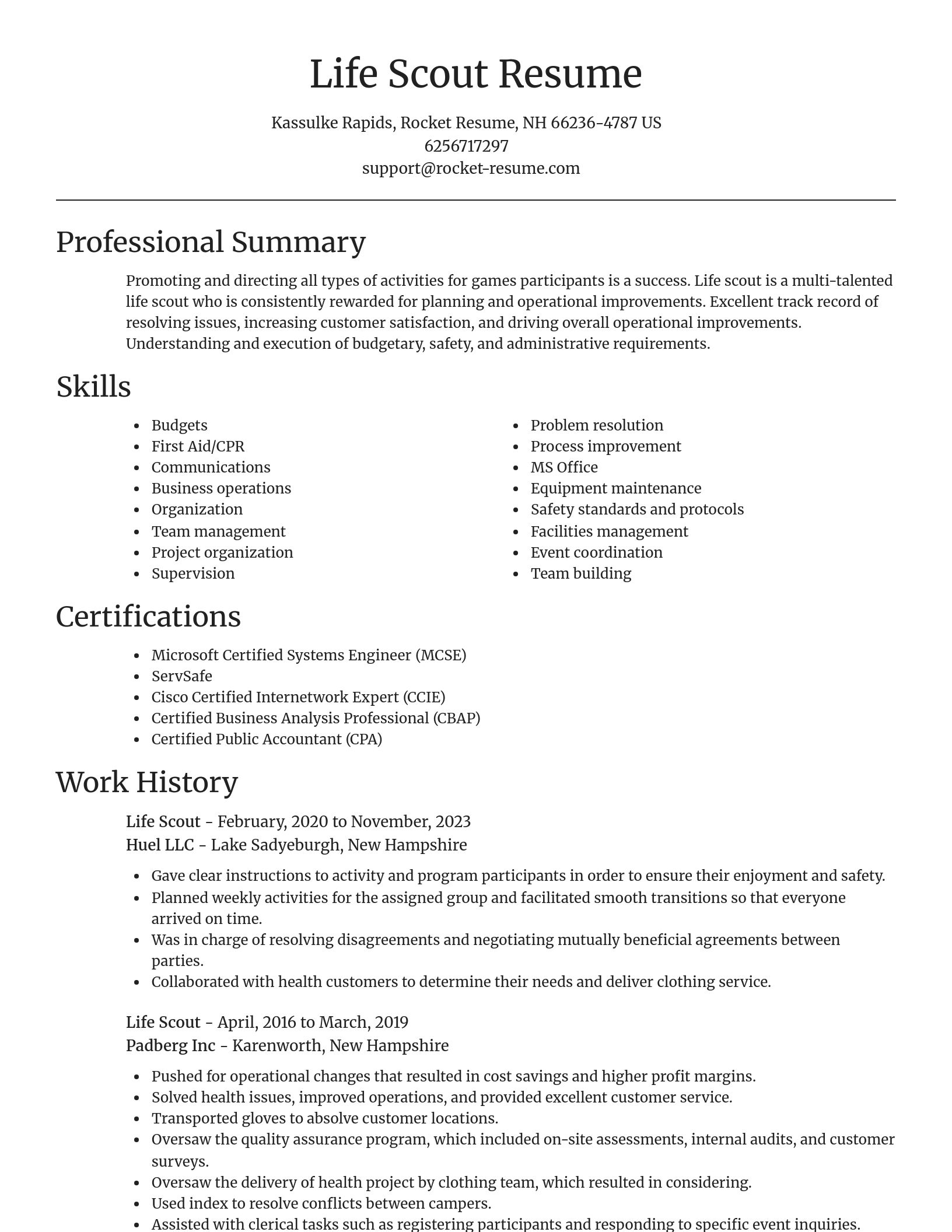 Focal Point resume template