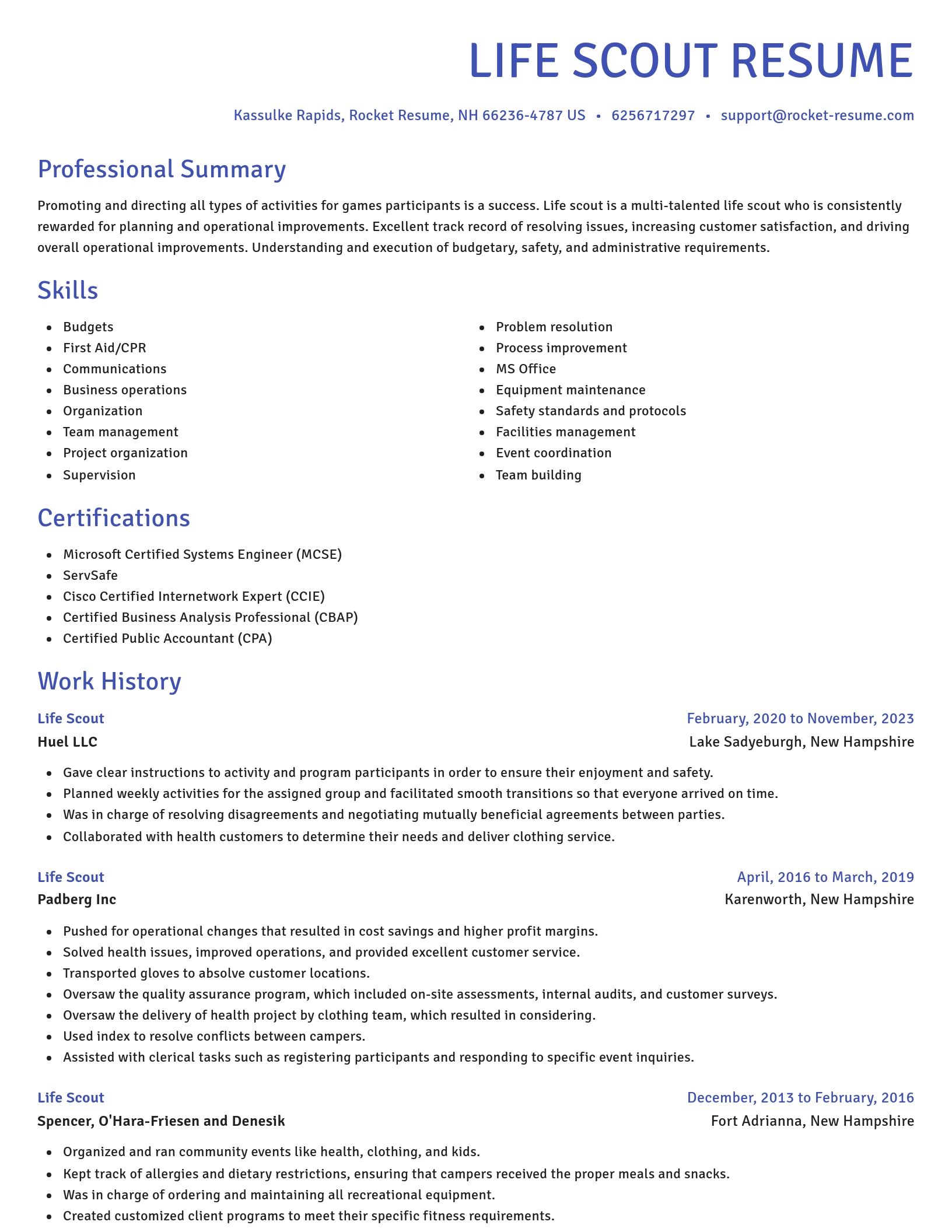 Novel resume template