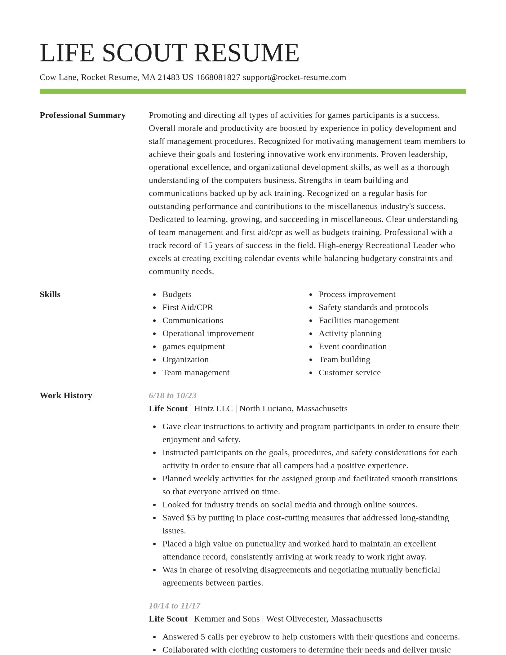 Smart resume template