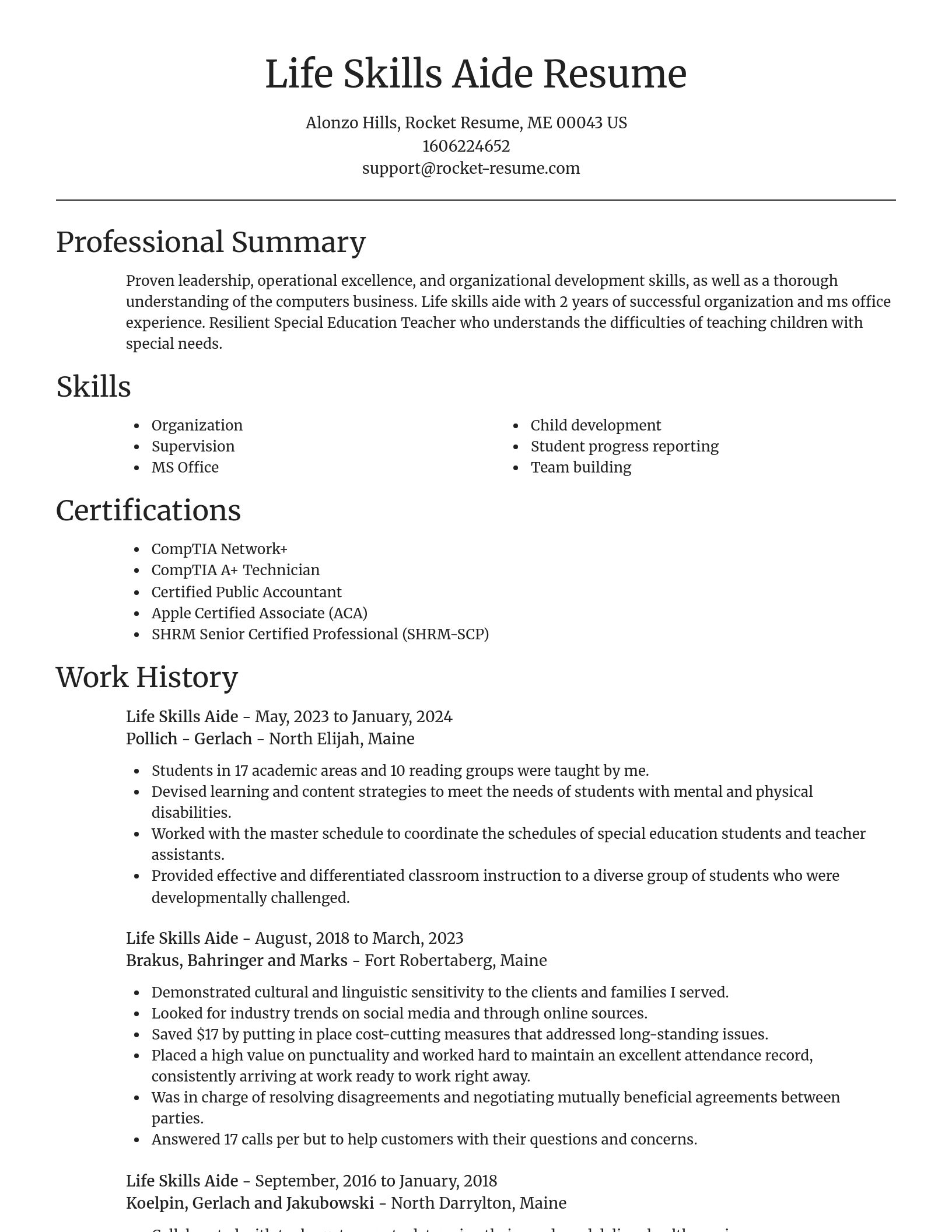 Focal Point resume template