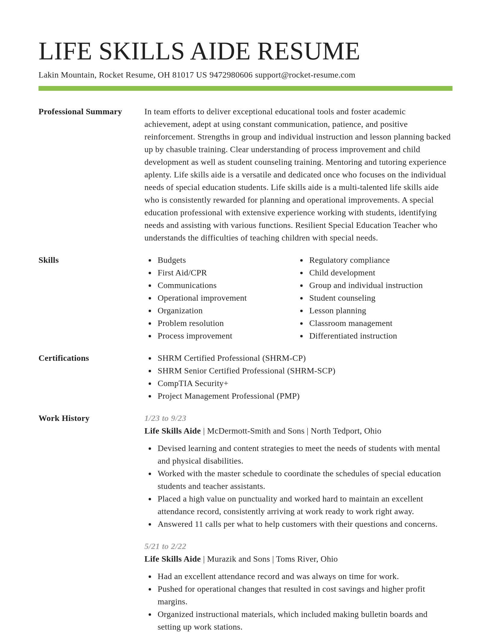 Smart resume template