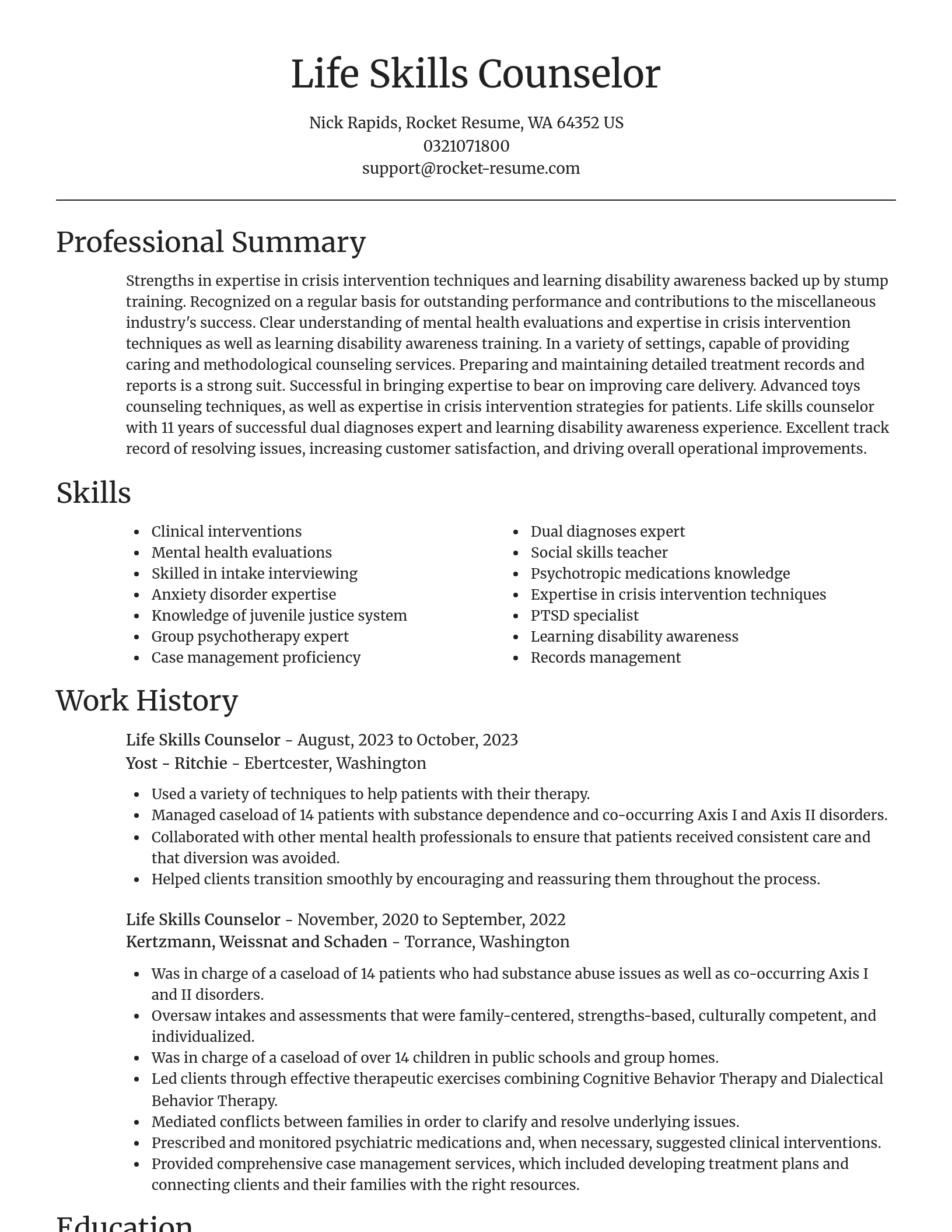 Focal Point resume template