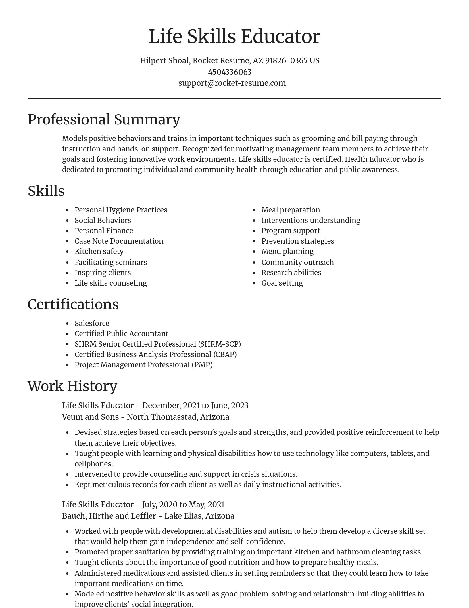 Focal Point resume template