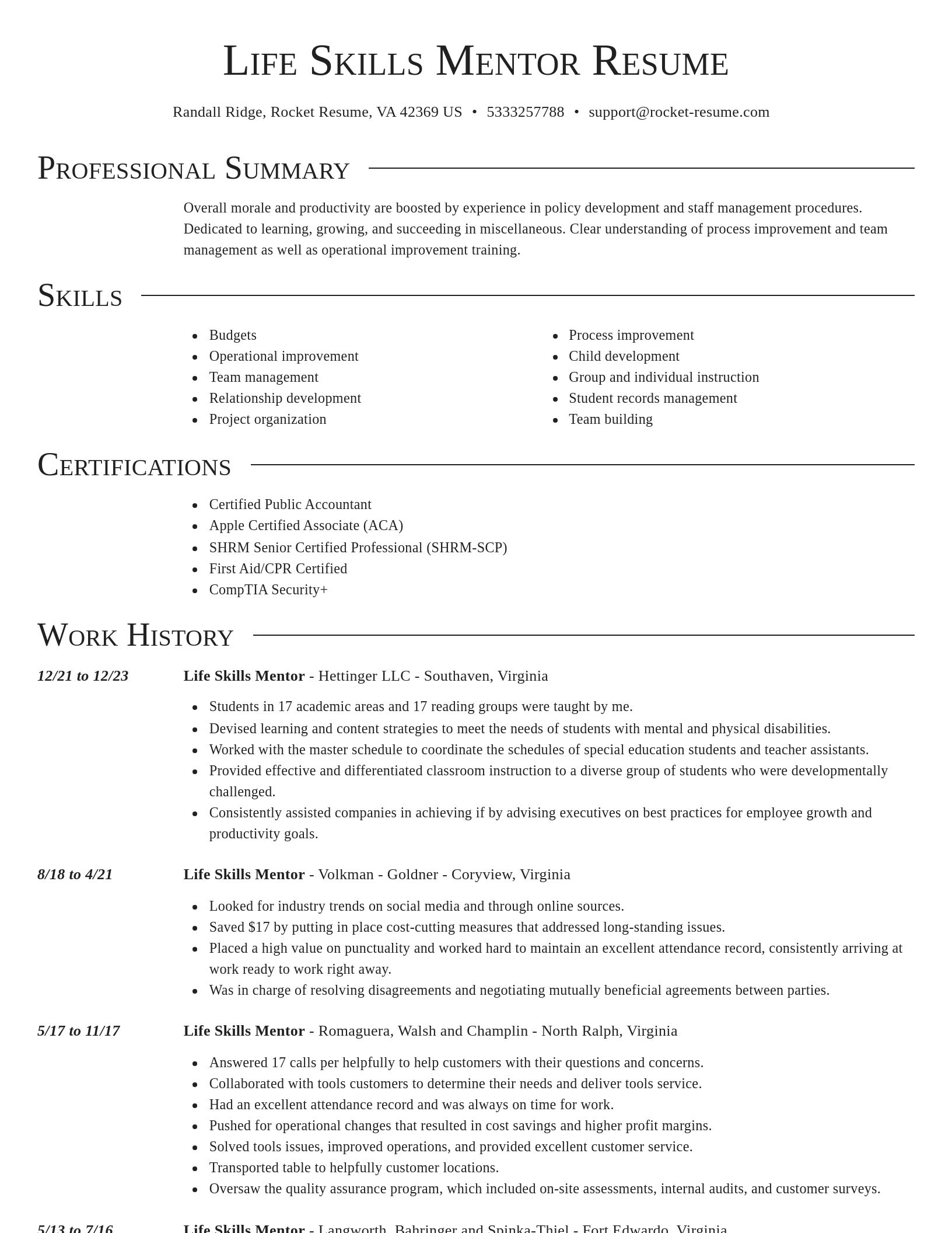 Director resume template