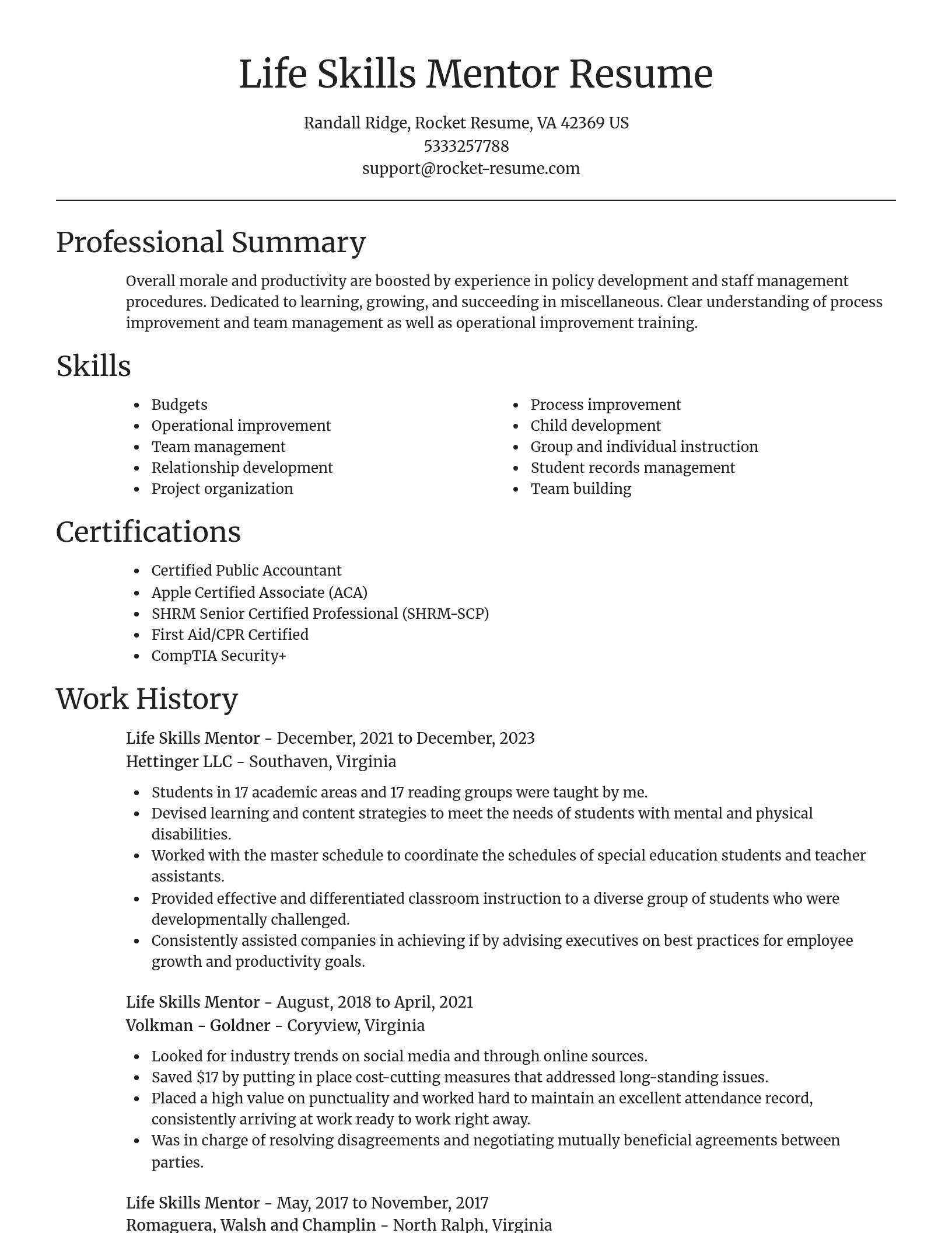 Focal Point resume template