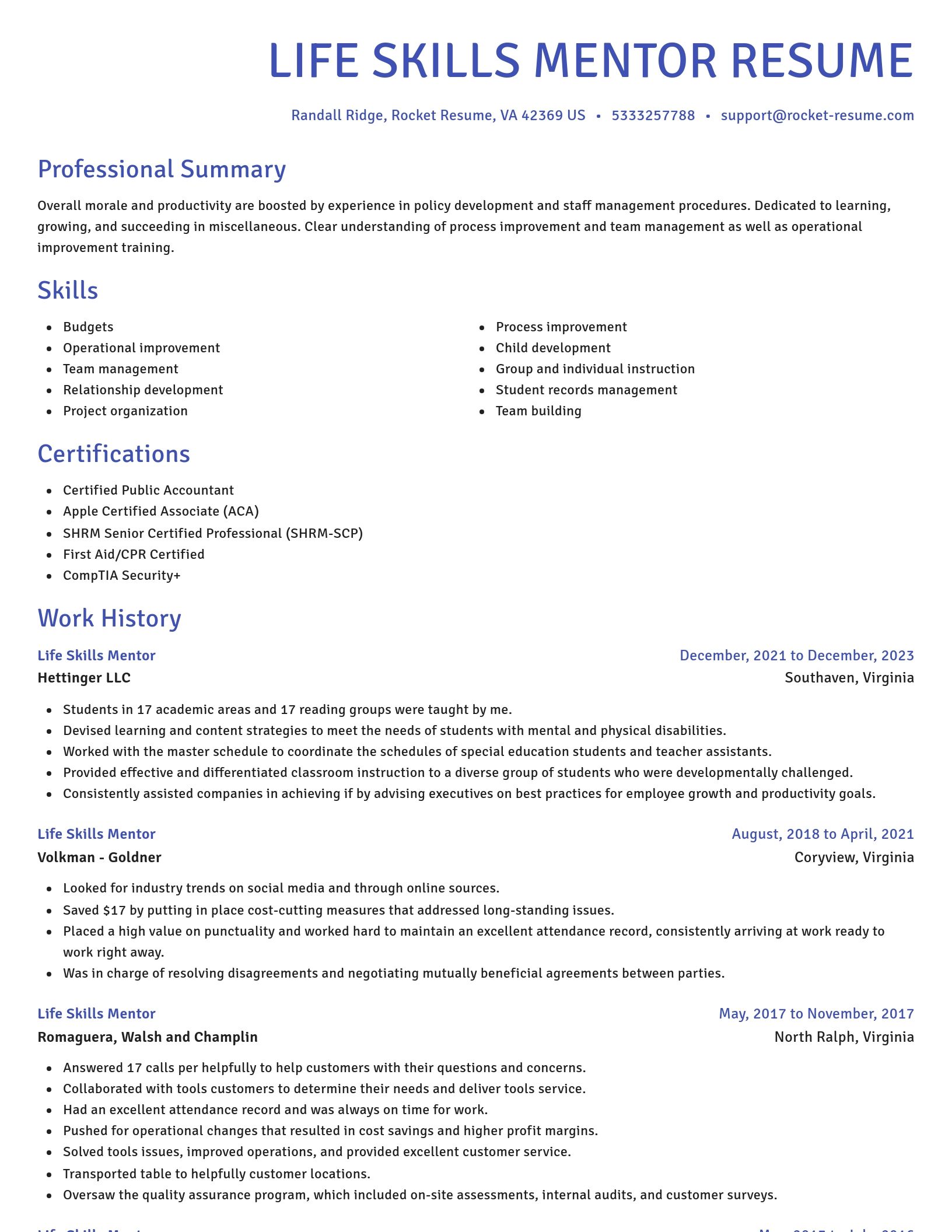 Novel resume template